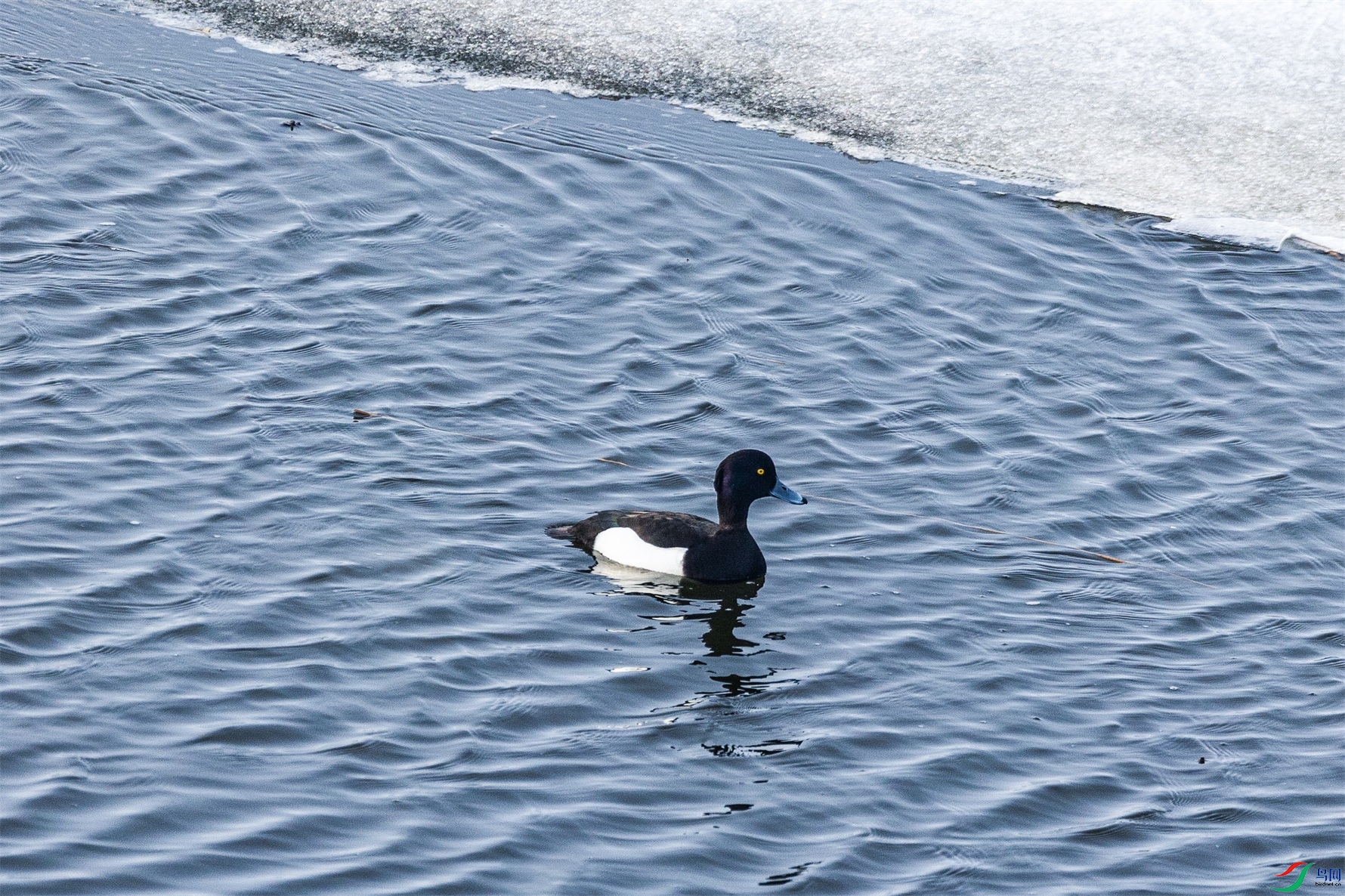 1K3A4660 ����1.jpg