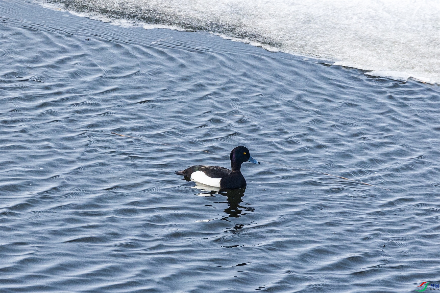 1K3A4662 ����1.jpg