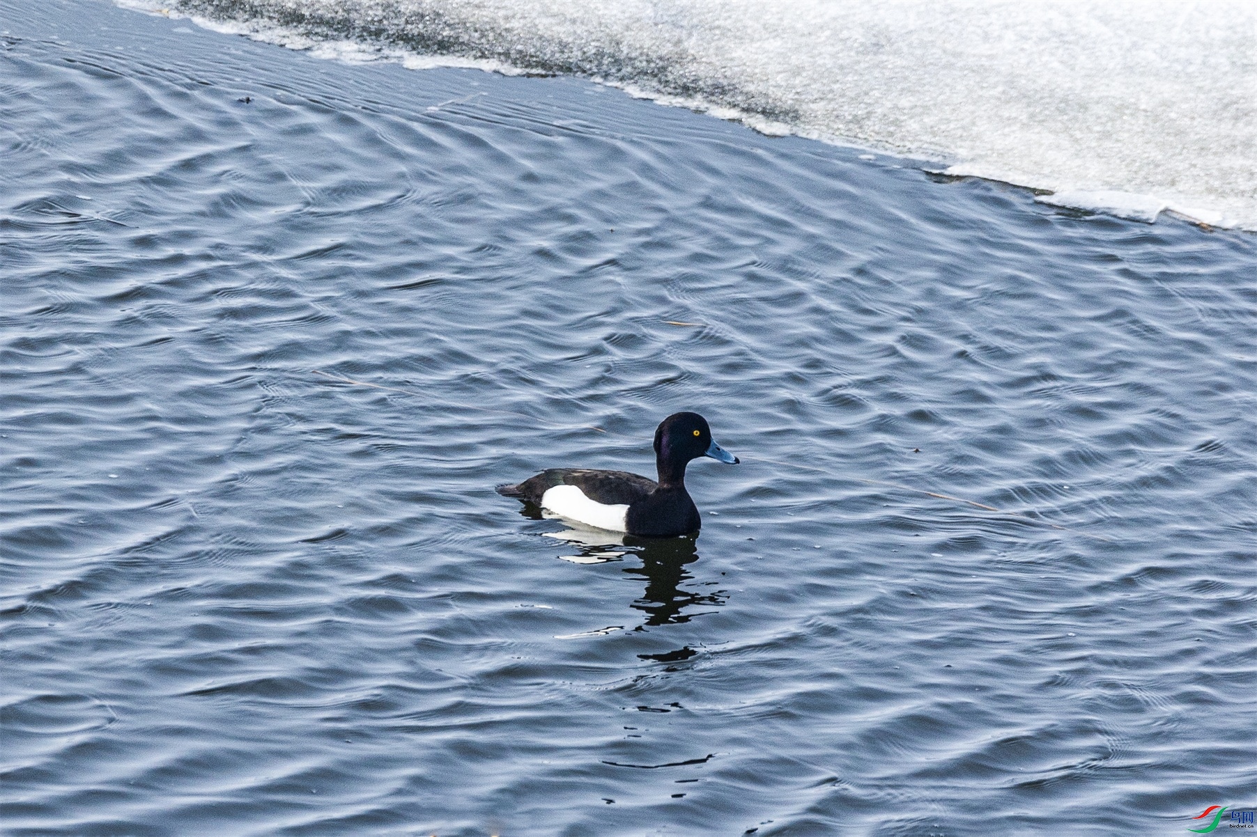 1K3A4663 ����1.jpg