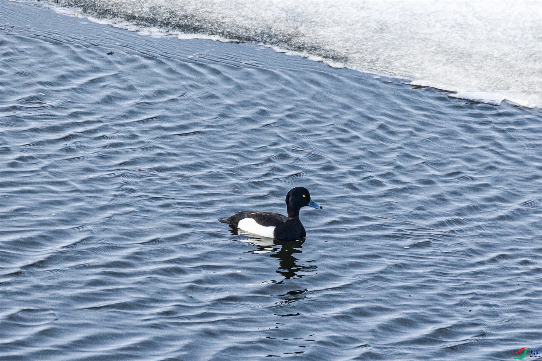 1K3A4664 ����1.jpg