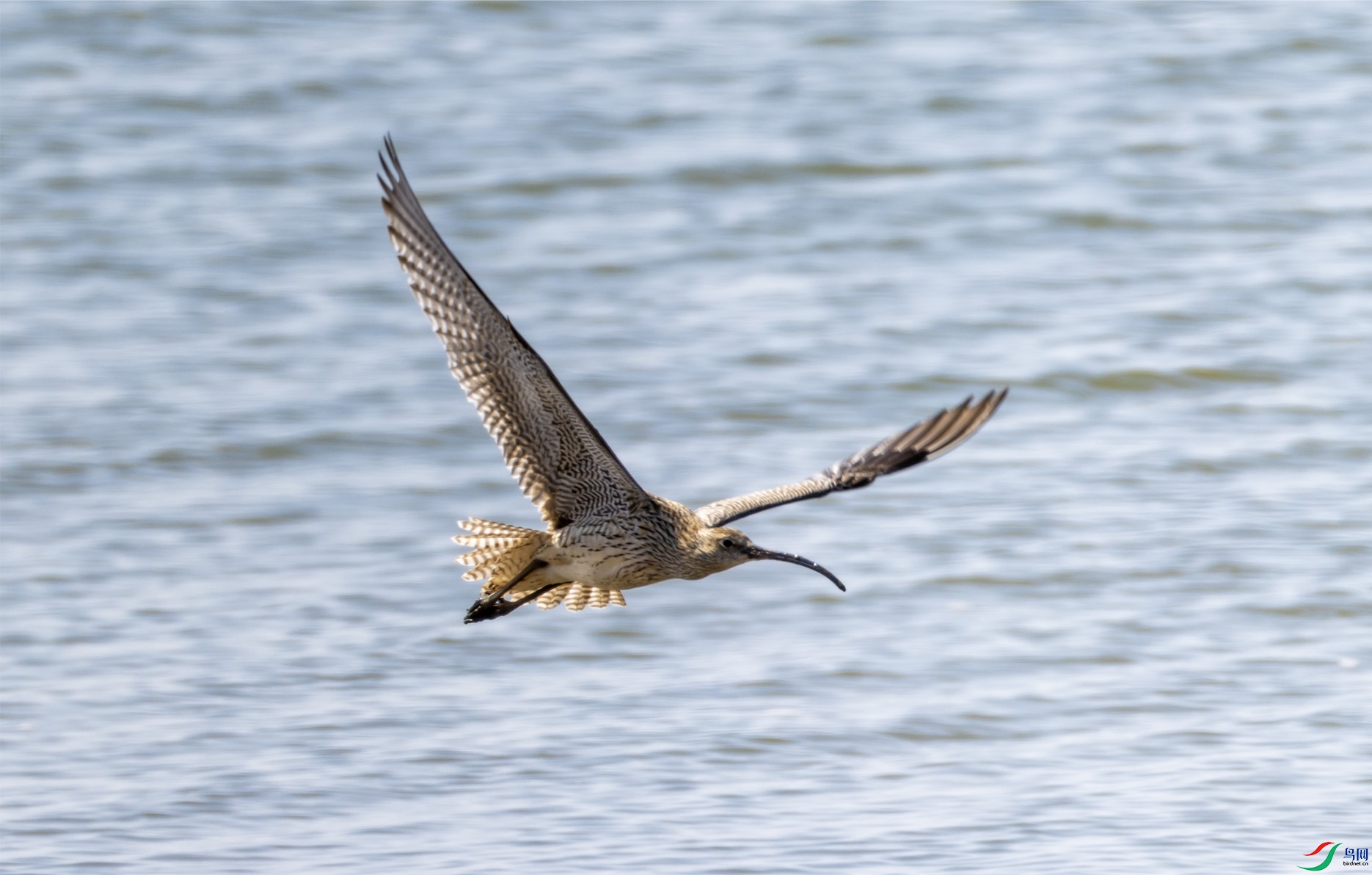 �����316 ����.jpg