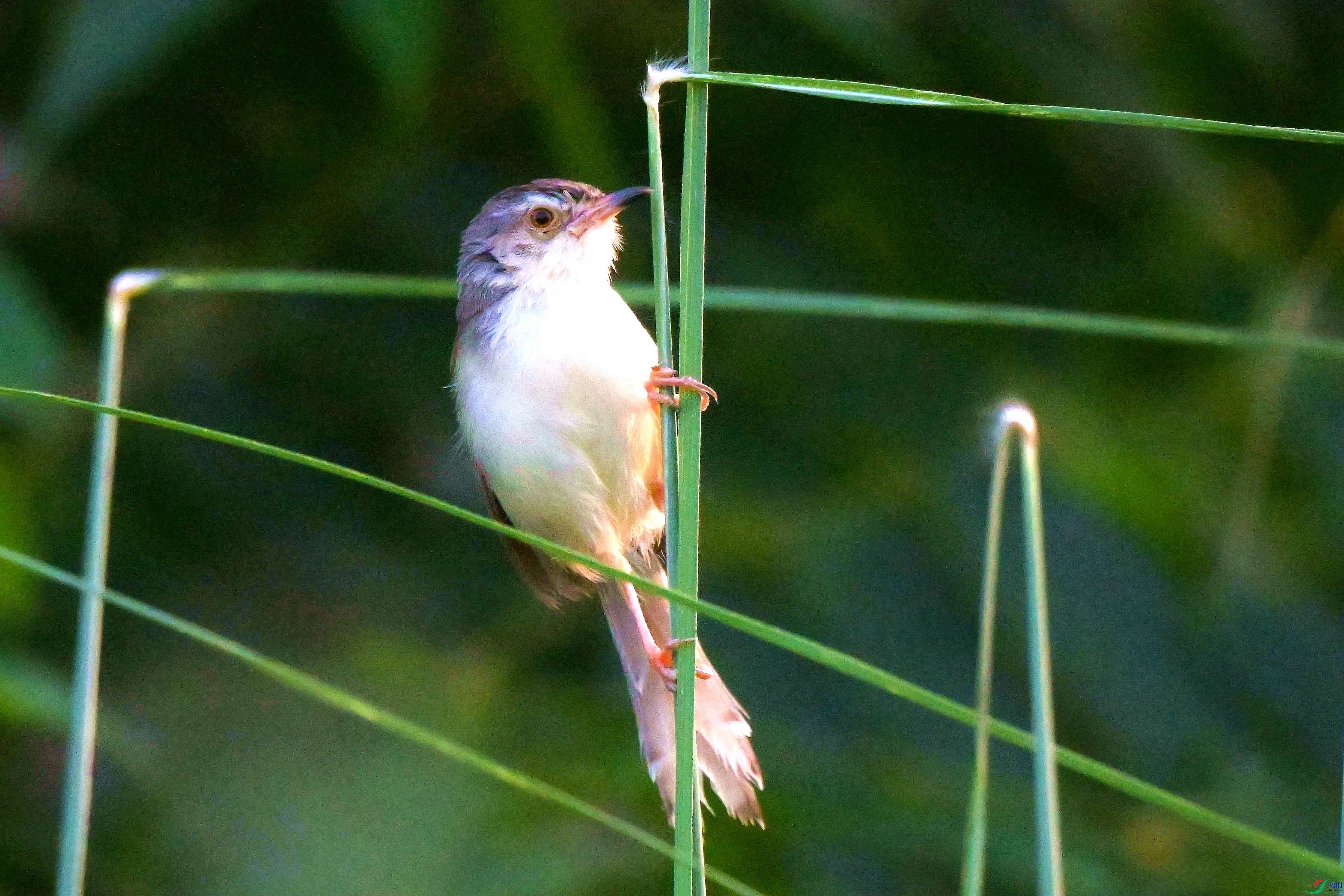 DSC_4055.jpg