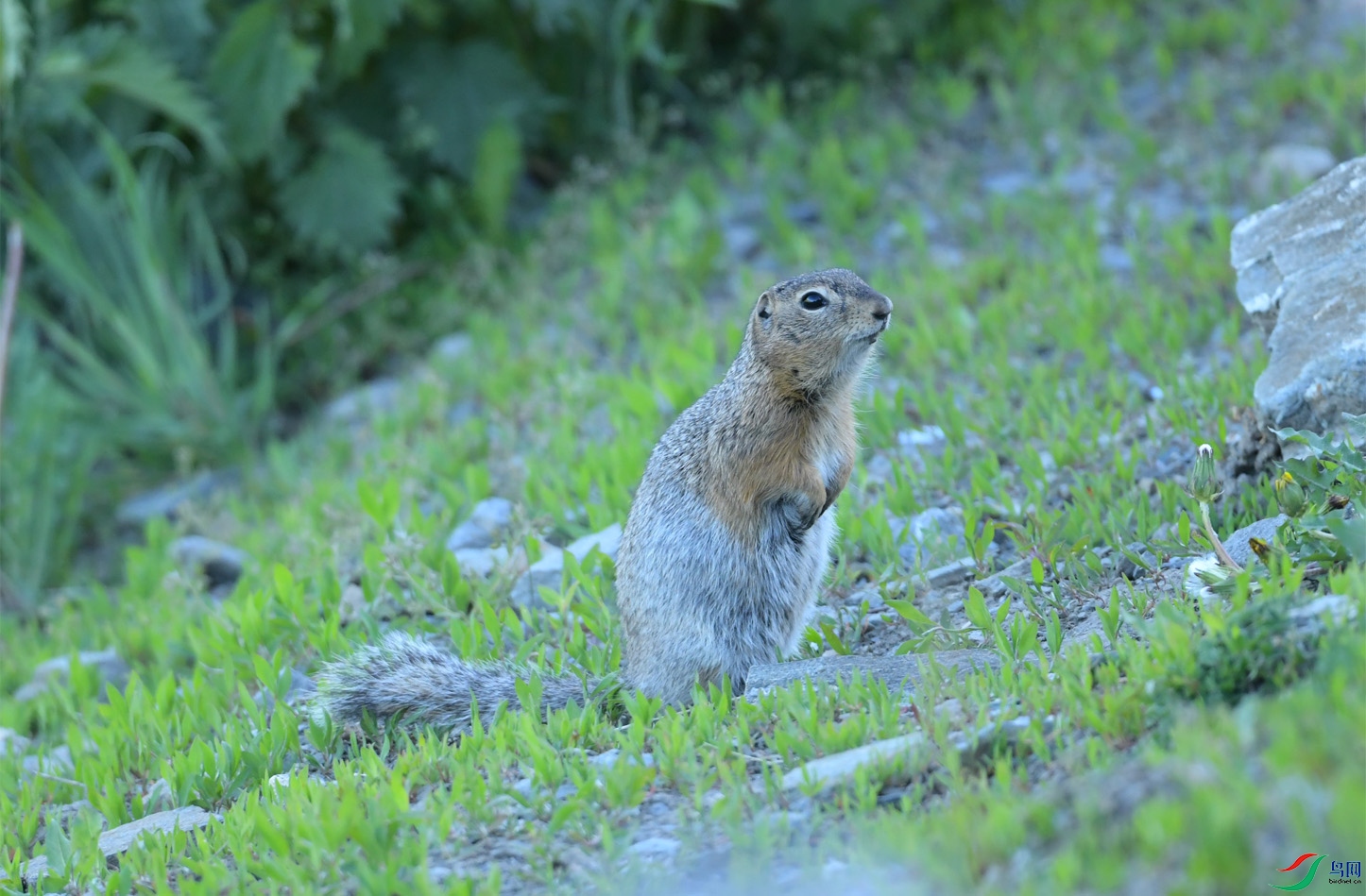 DSC_3369 ����.jpeg