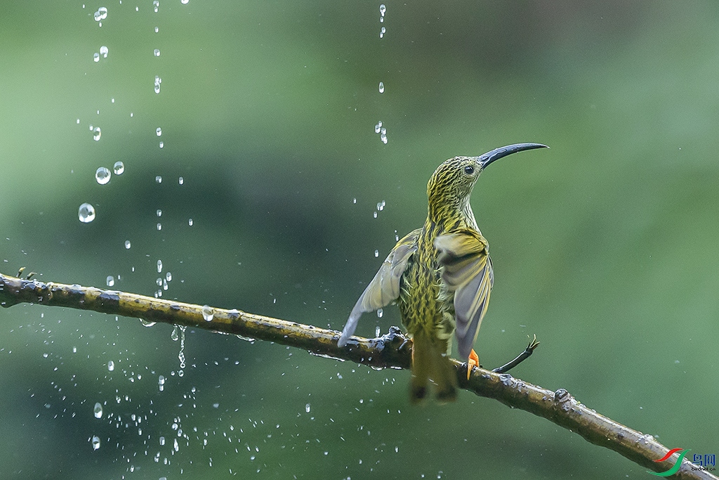 0F7A2846a ����.jpg