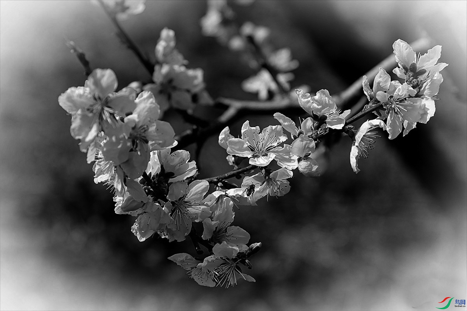 IMG_2582.jpg