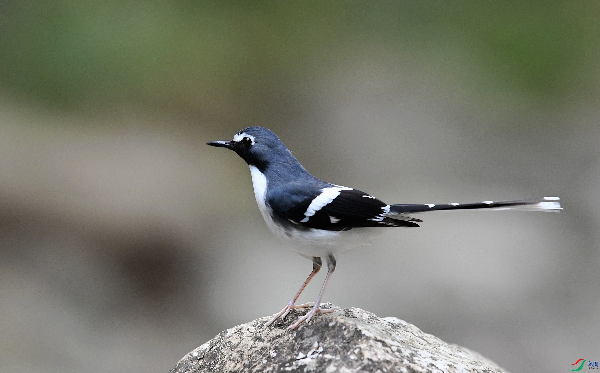 DSC_9834.jpg