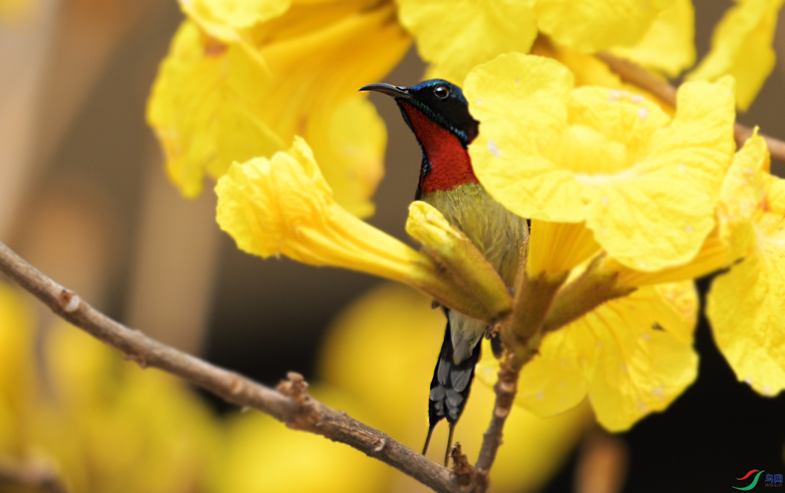 {1E07C731-CC84-4270-B187-2368070922EF} ����.jpg