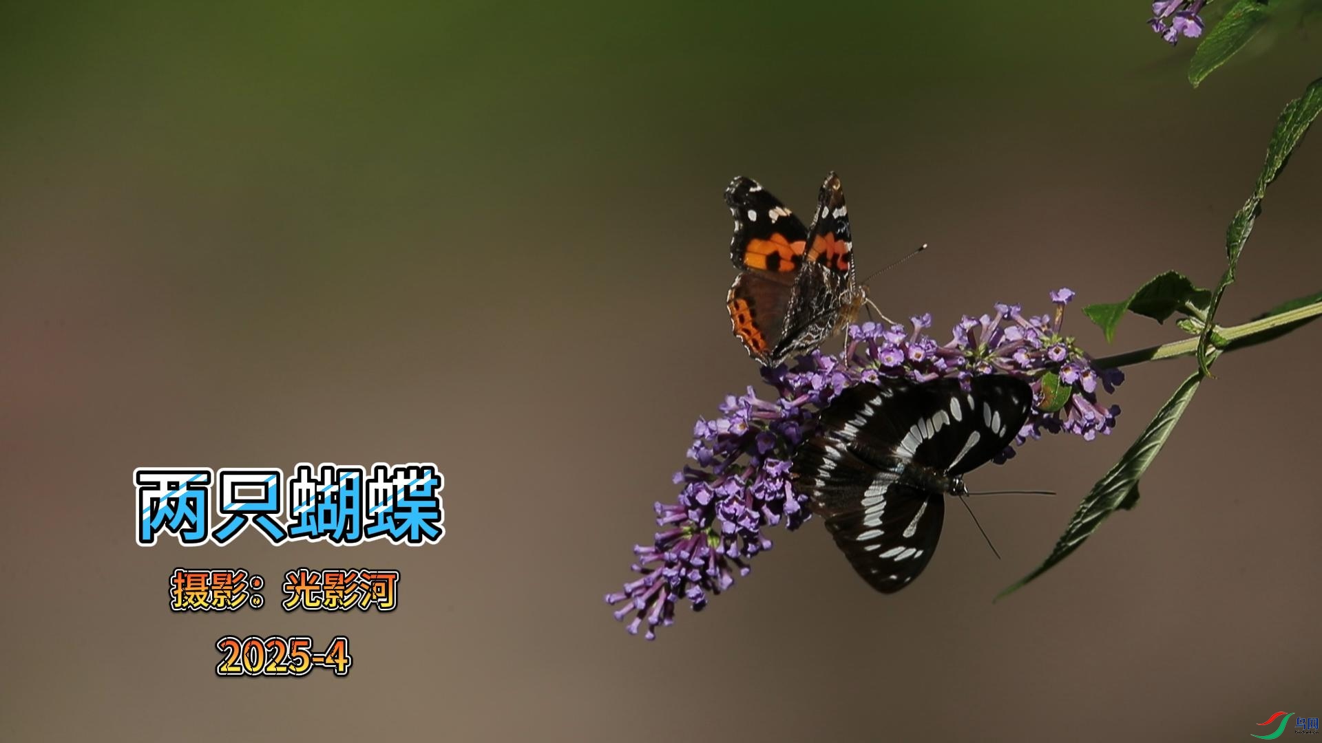 4��9�� (2)(1)-����.jpg