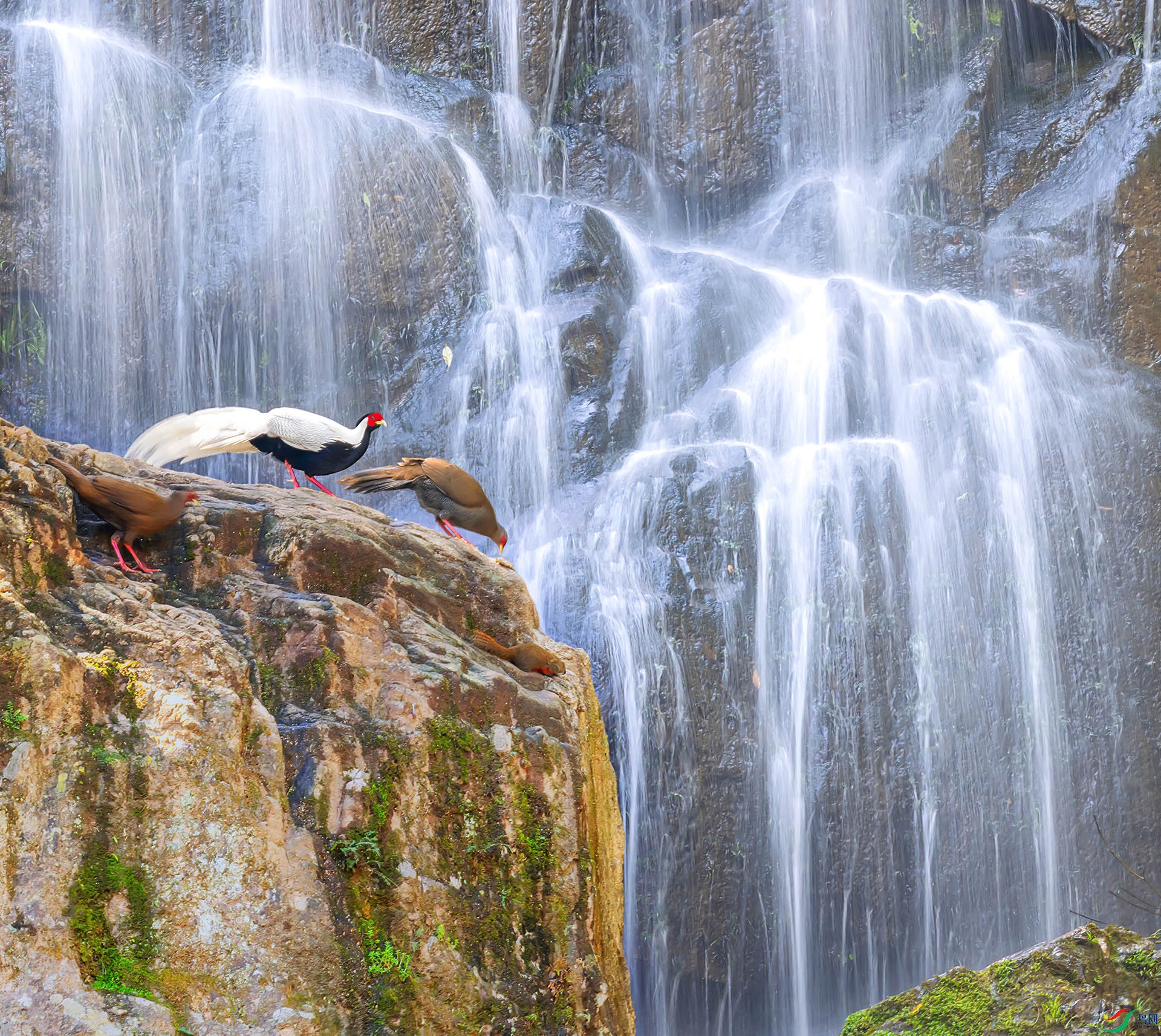 060A1281 ����-Sh----1 .jpg