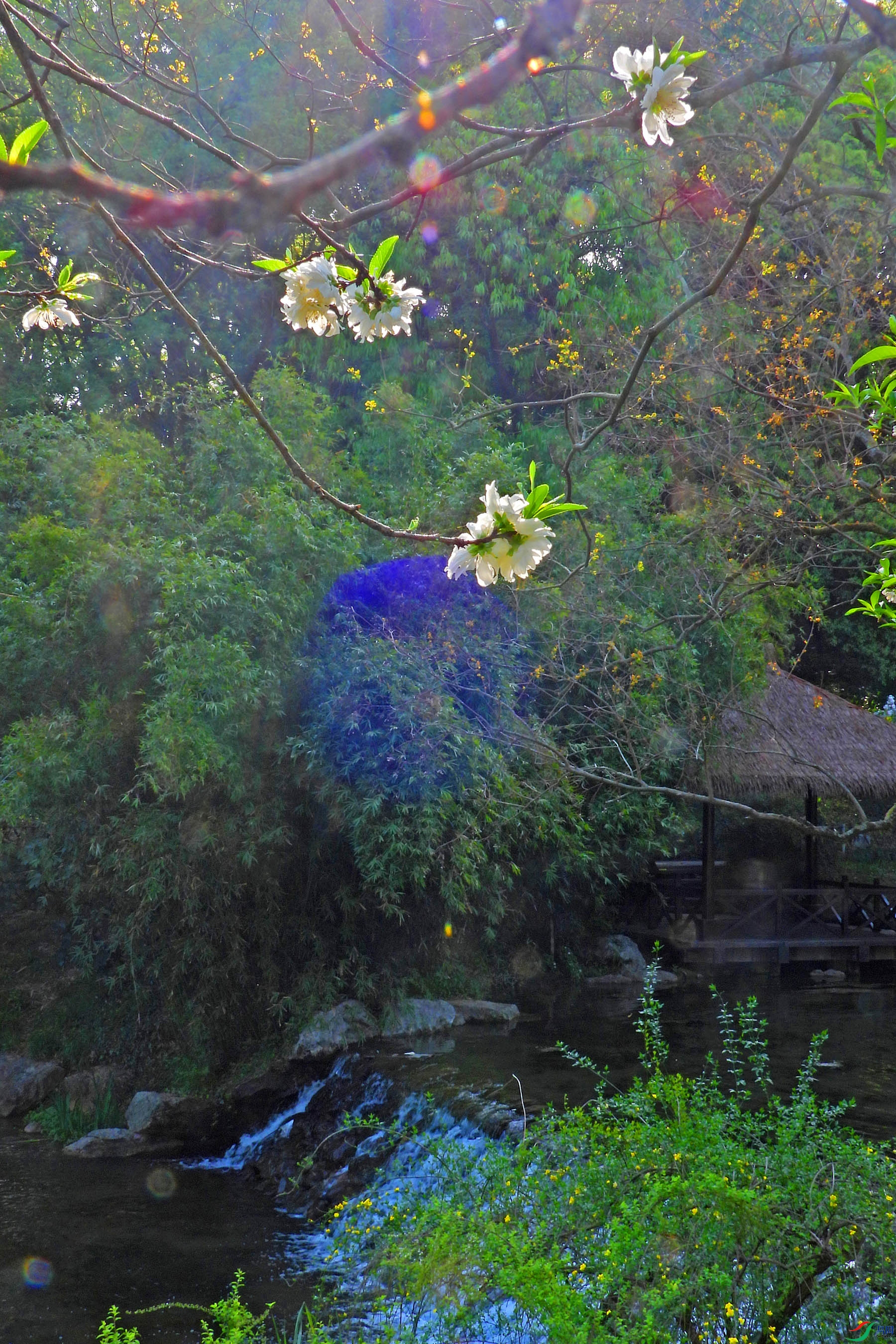 DSCN5495.JPG