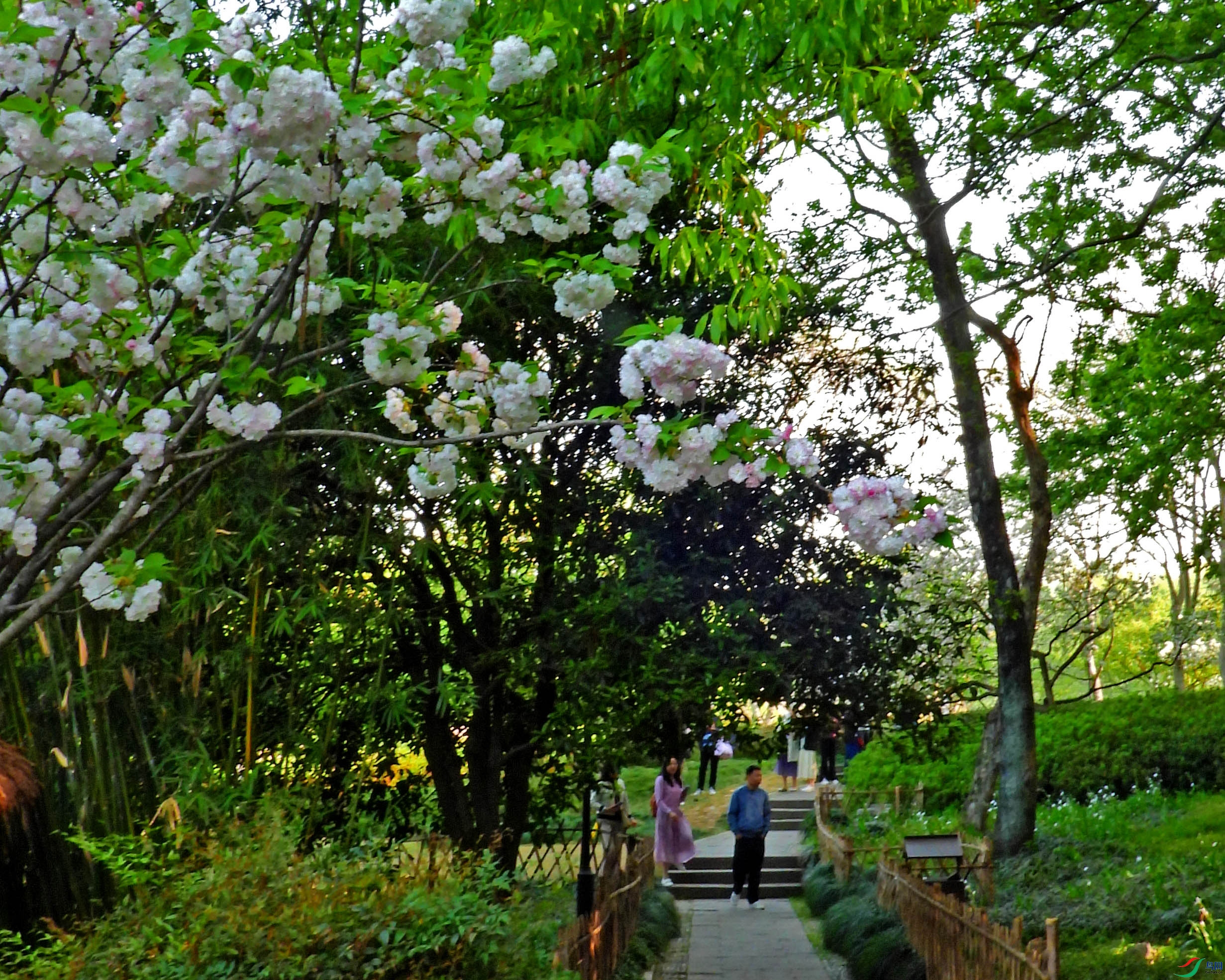 DSCN5516.JPG