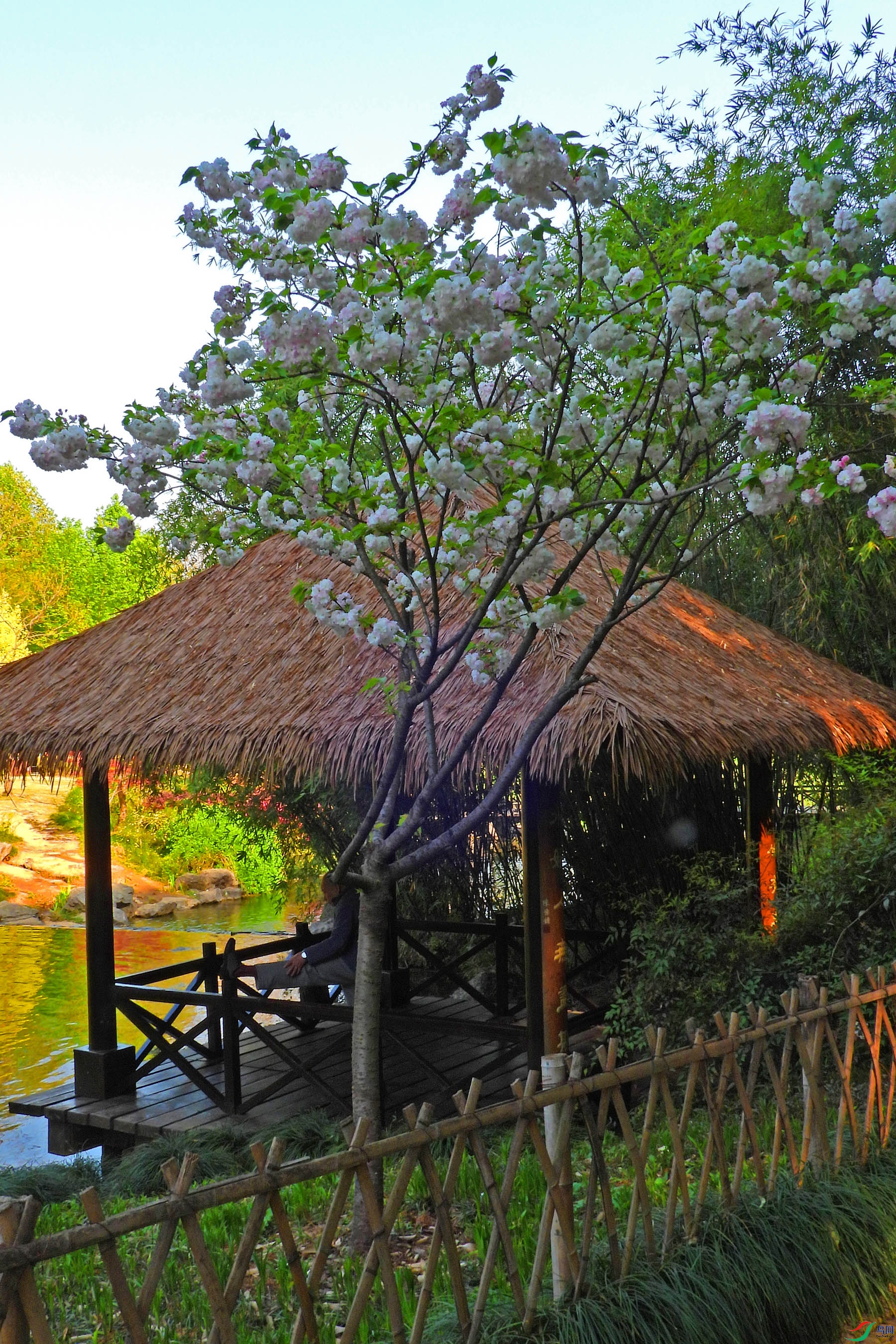 DSCN5517.JPG