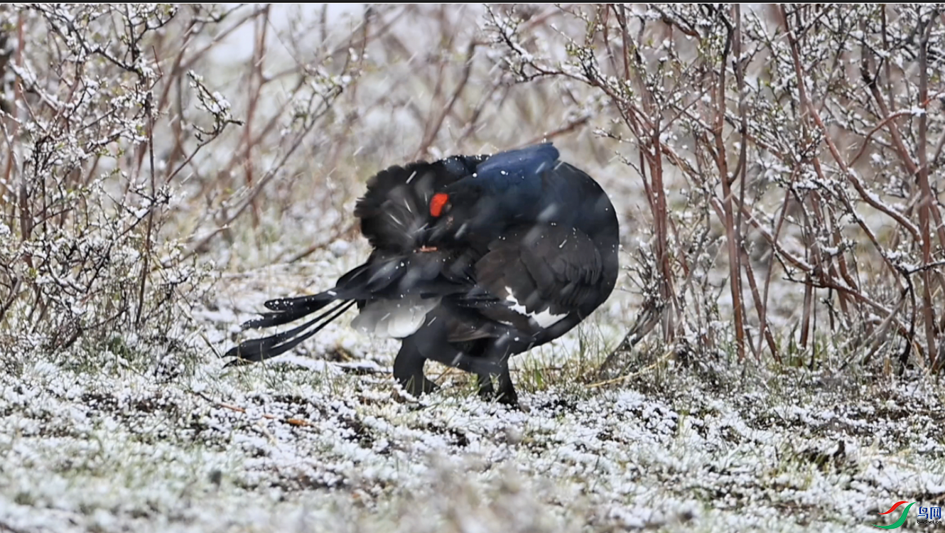 ����2025-04-09 15.21.01.png