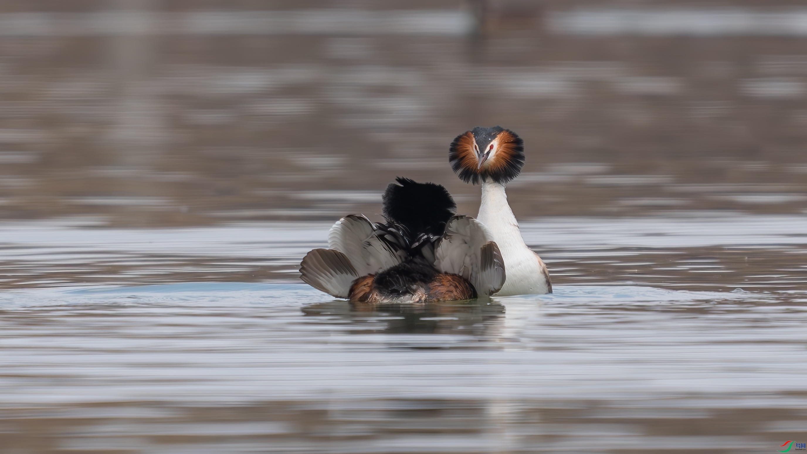 _DSC1728 ����.jpg