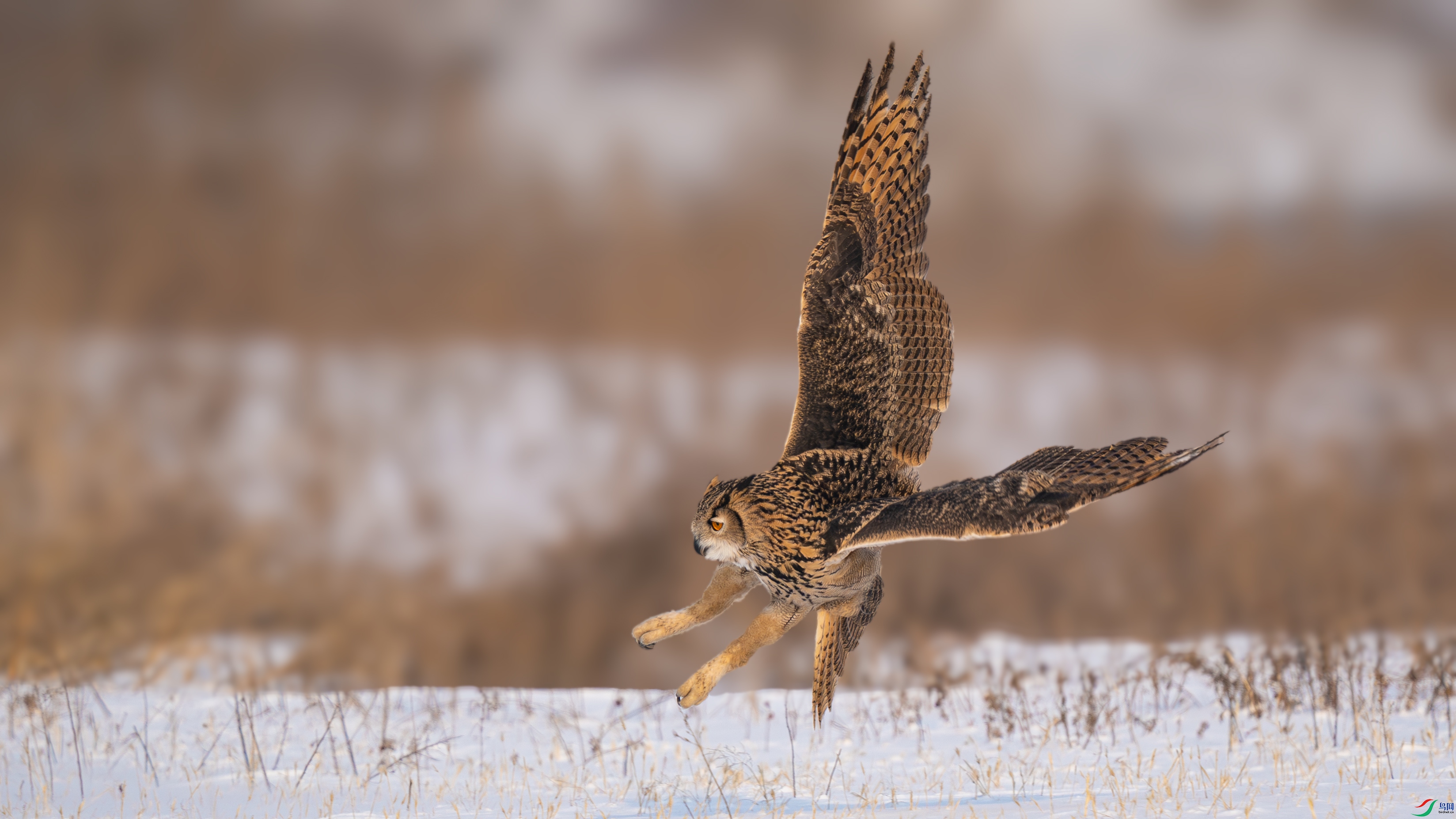 DSC02069-����ǿ-NR ����.jpg