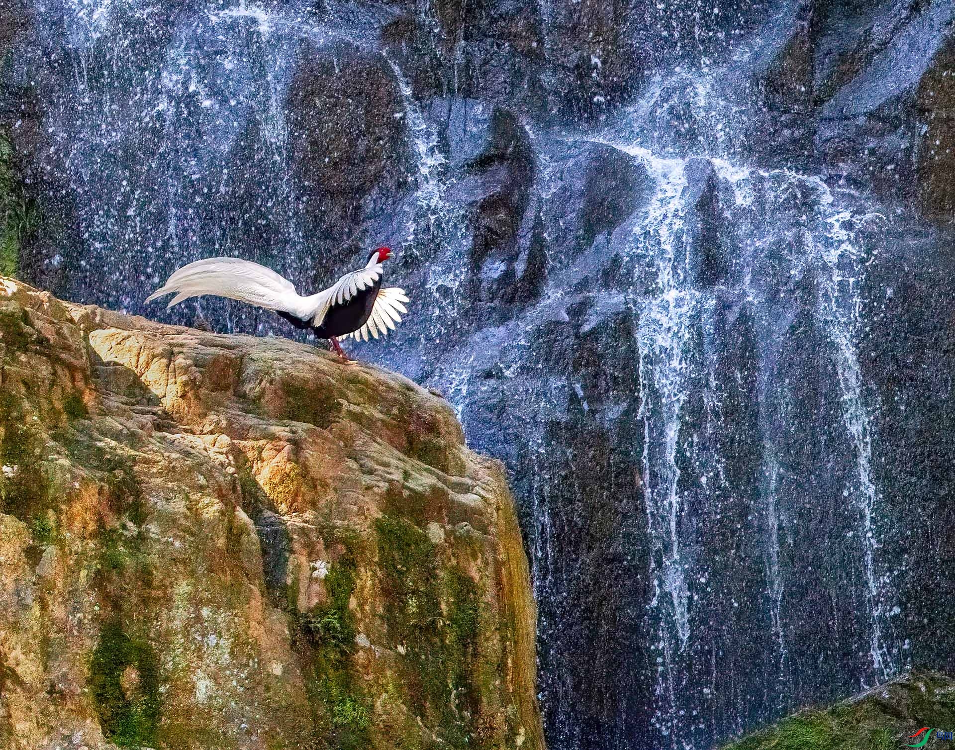 060A2054 ����-Sh----1 .jpg