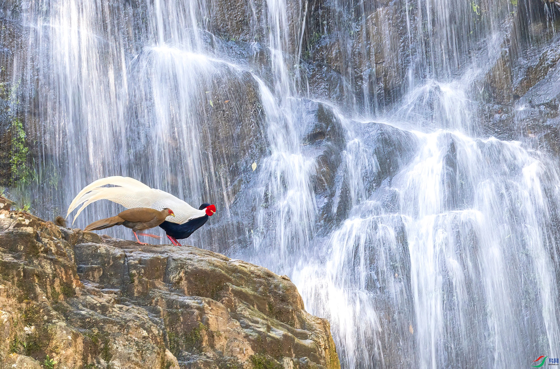 060A0926 ����-Sh----1 .jpg