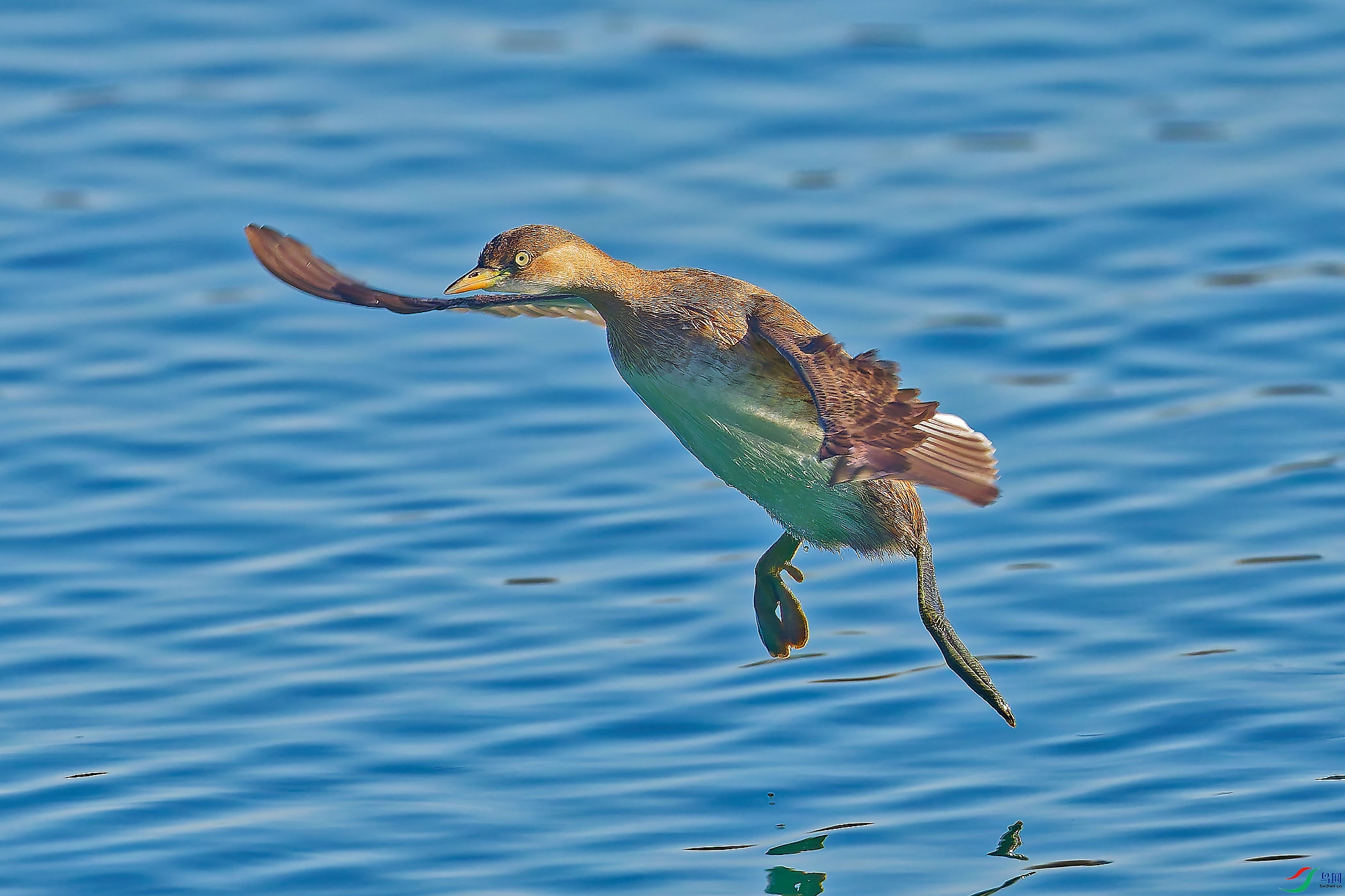 DSC_7710_DXO_DXO.jpg