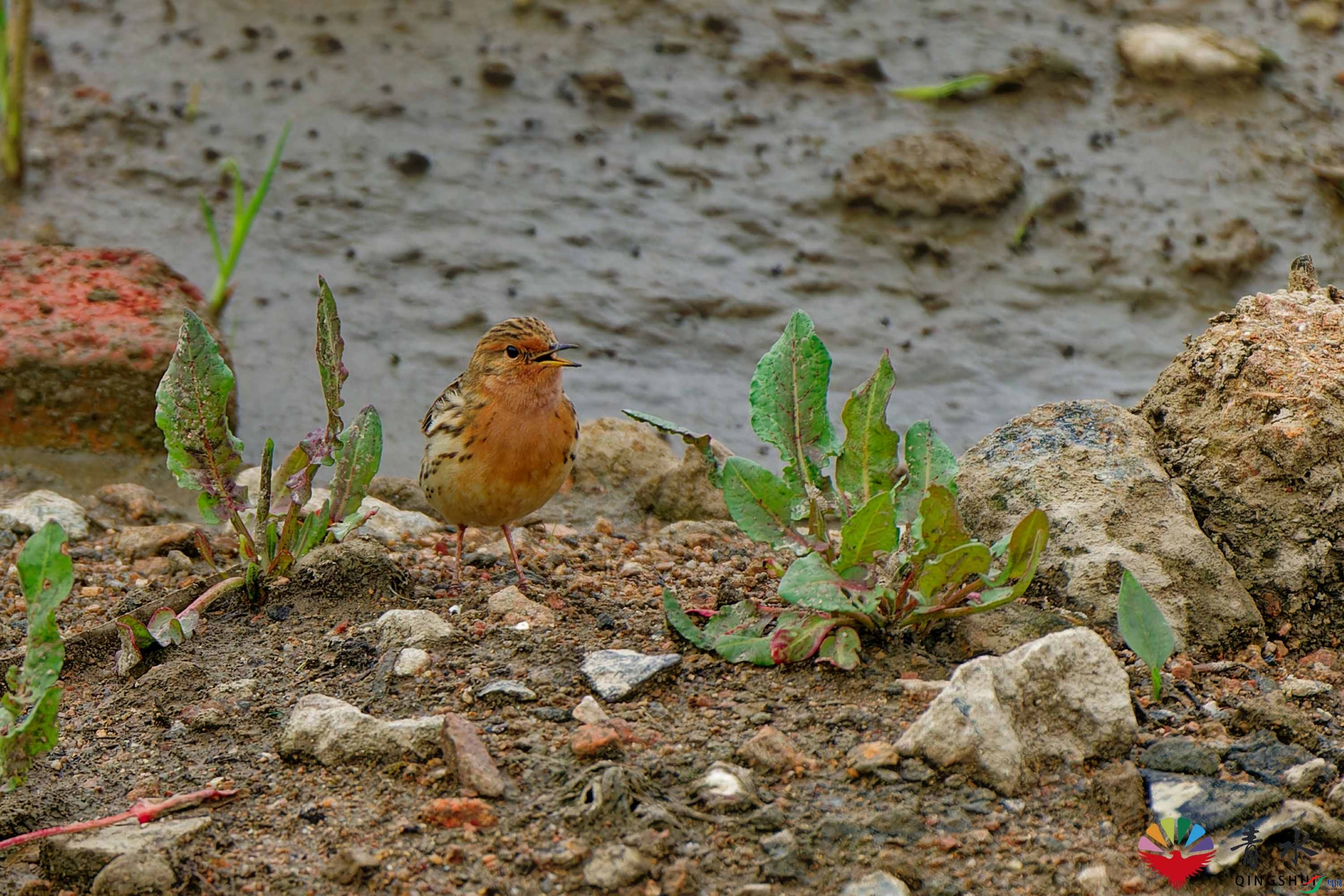DSC07968_DxO.jpg