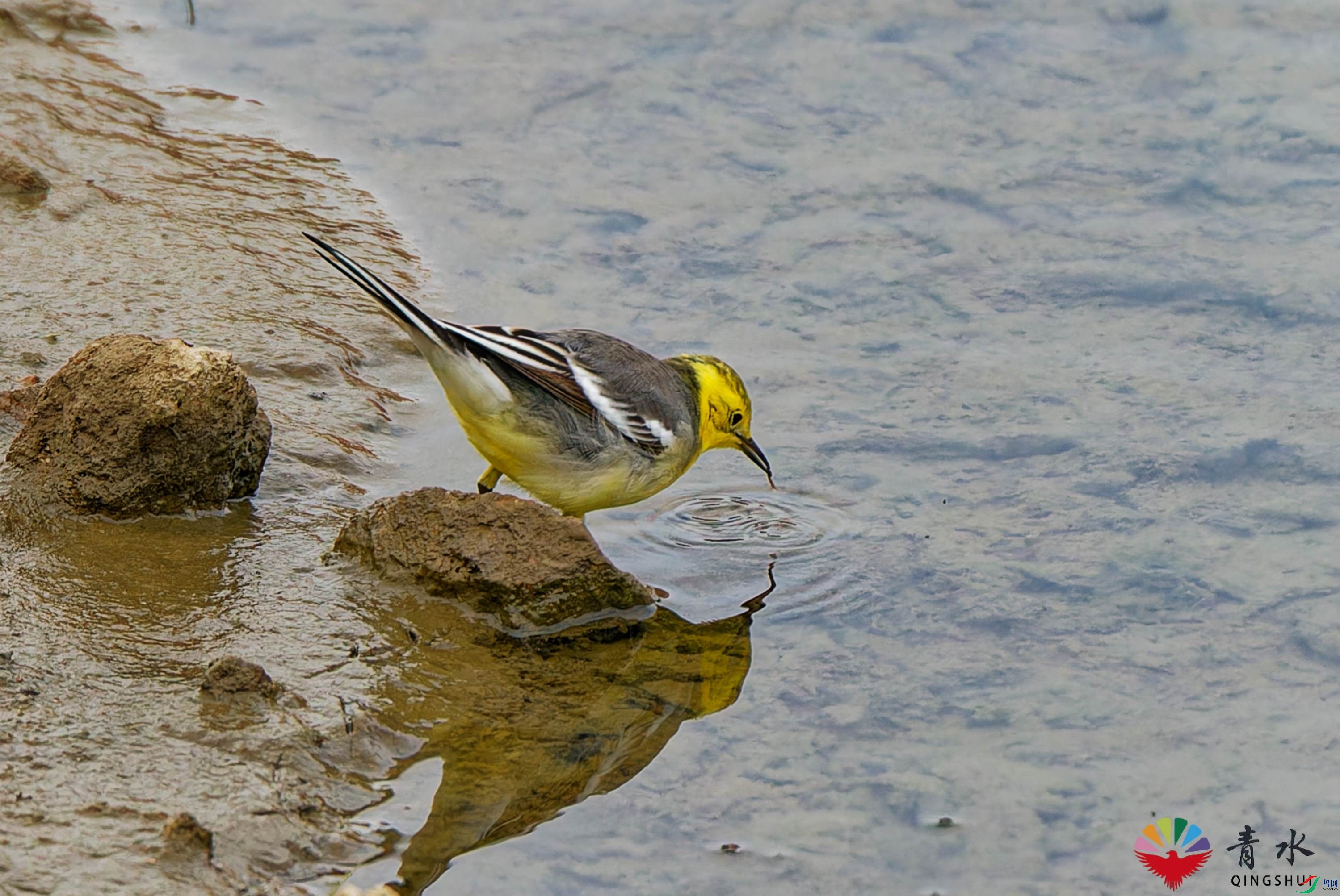 DSC06673_DxO.jpg