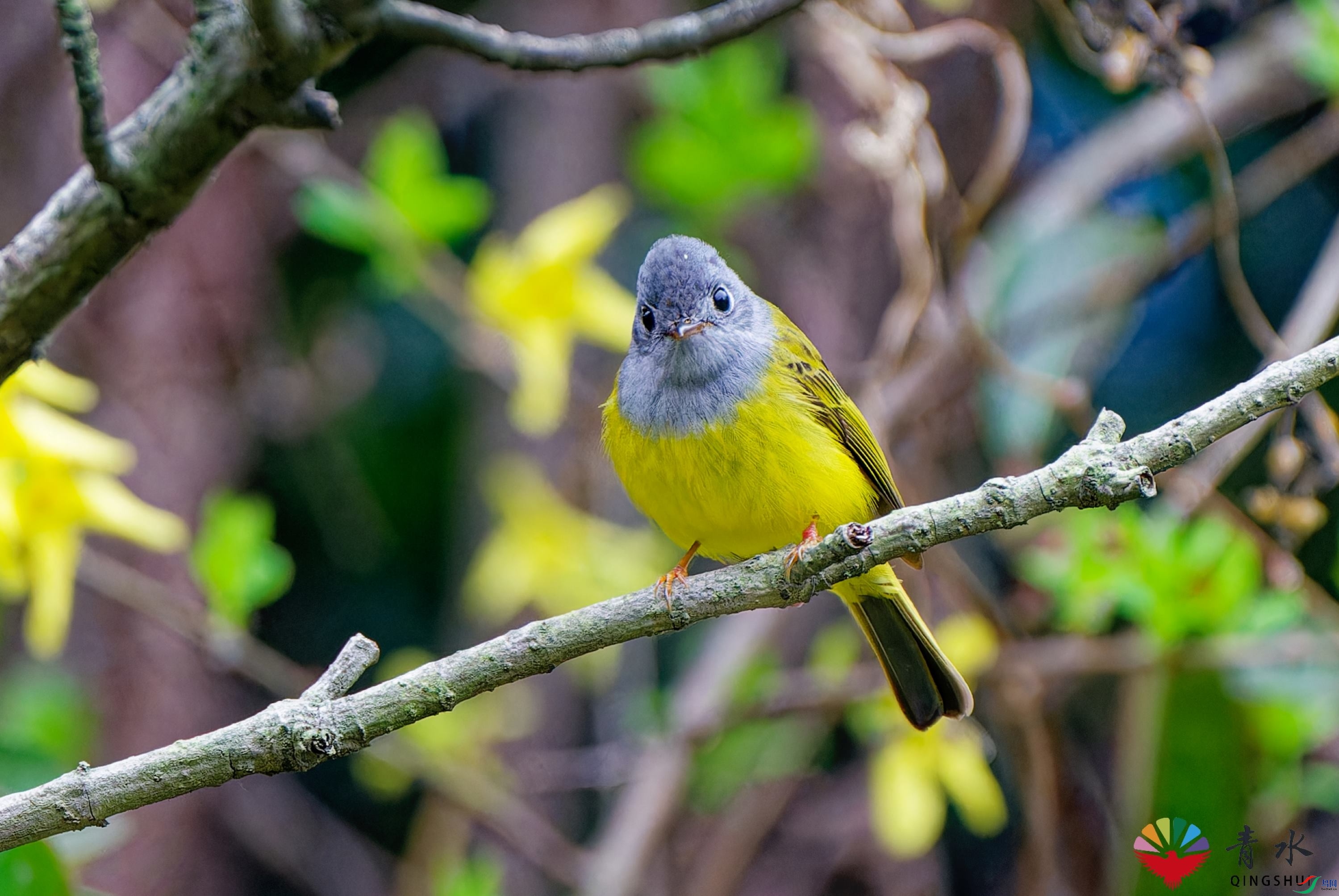 DSC06415_DxO.jpg