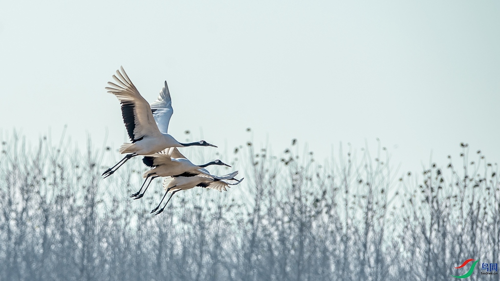 DSC_0335.jpg