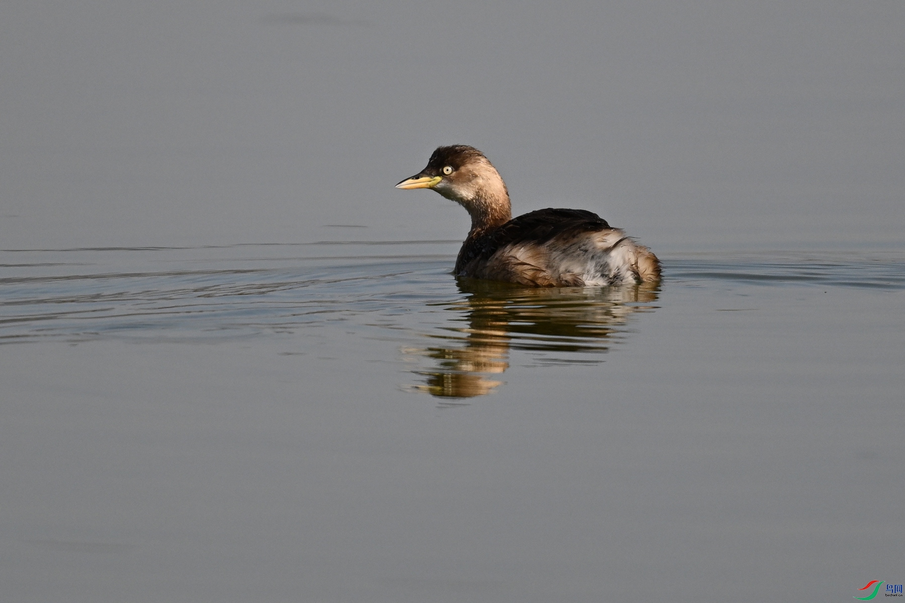 DSC_8003.JPG