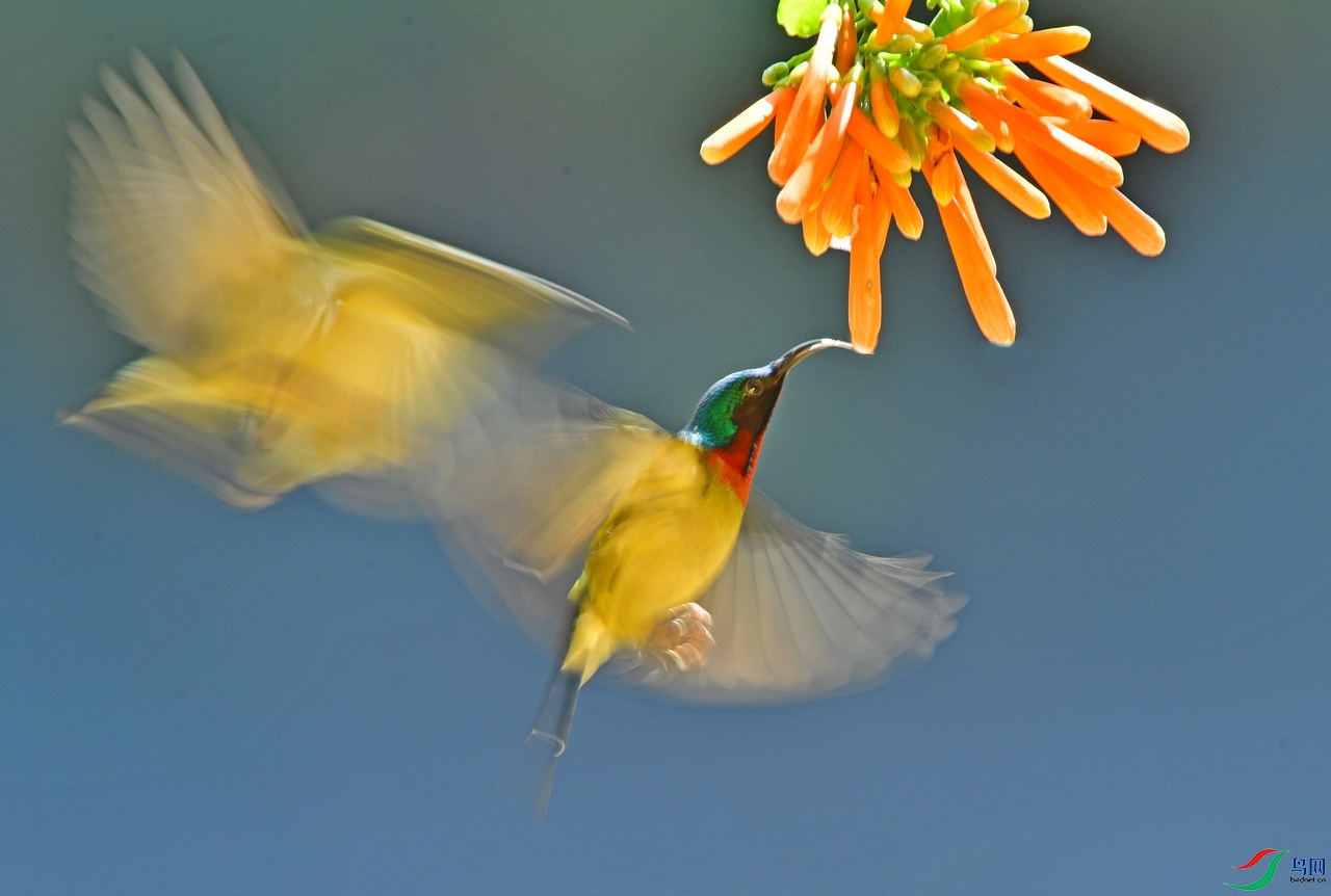 DSC_3314.jpg