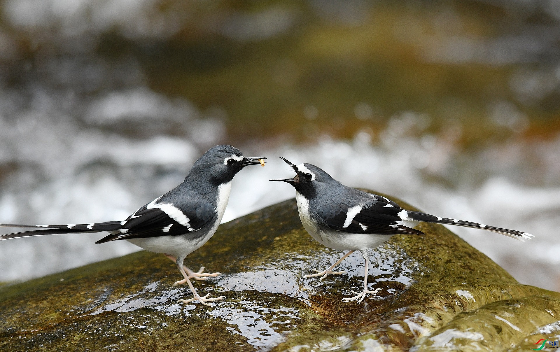 DSC_5823.jpg