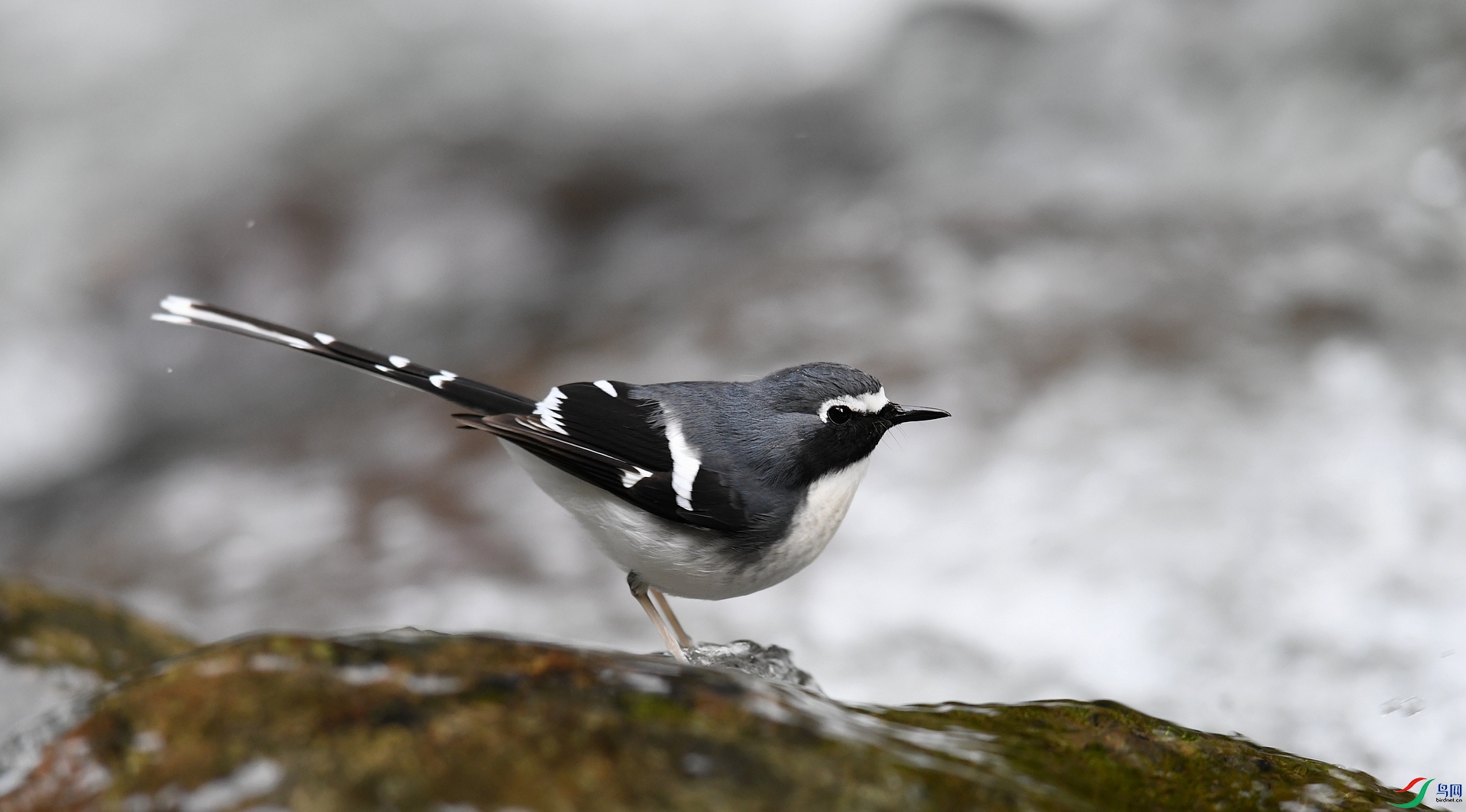 DSC_5792.jpg