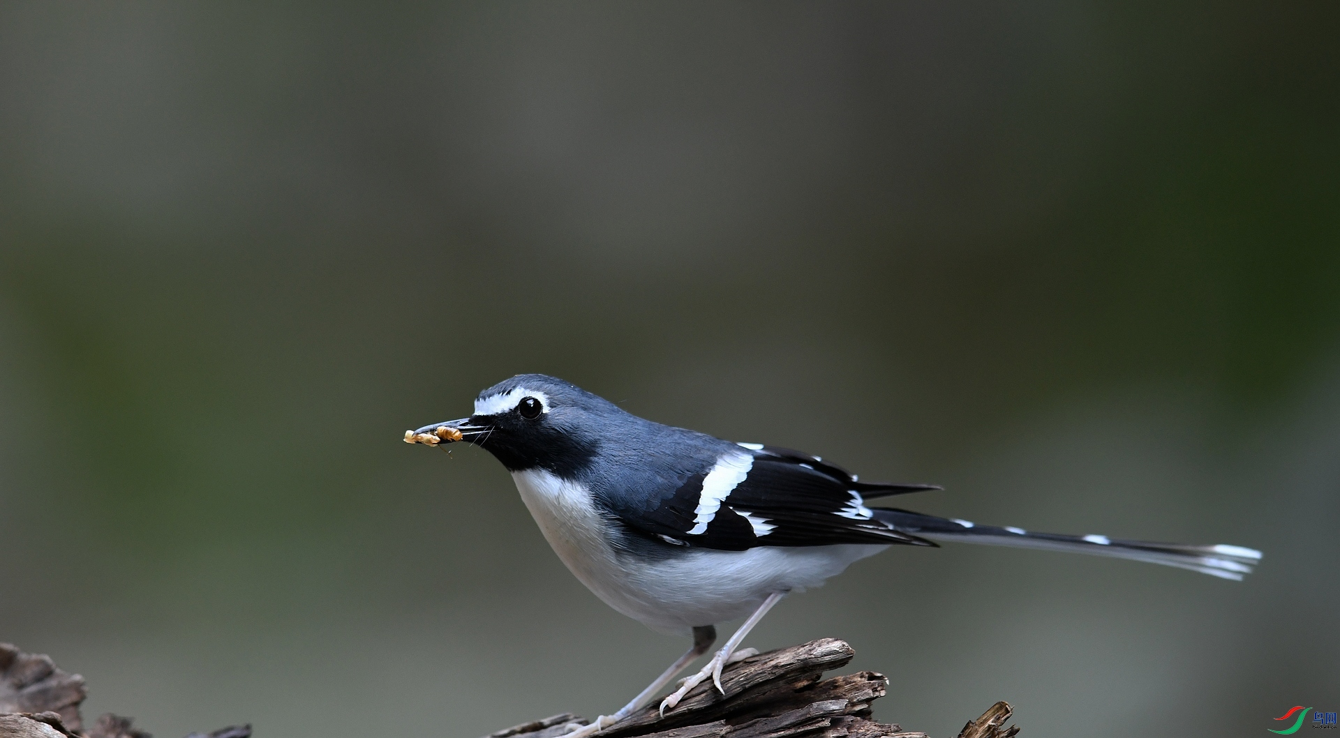 DSC_5749.jpg