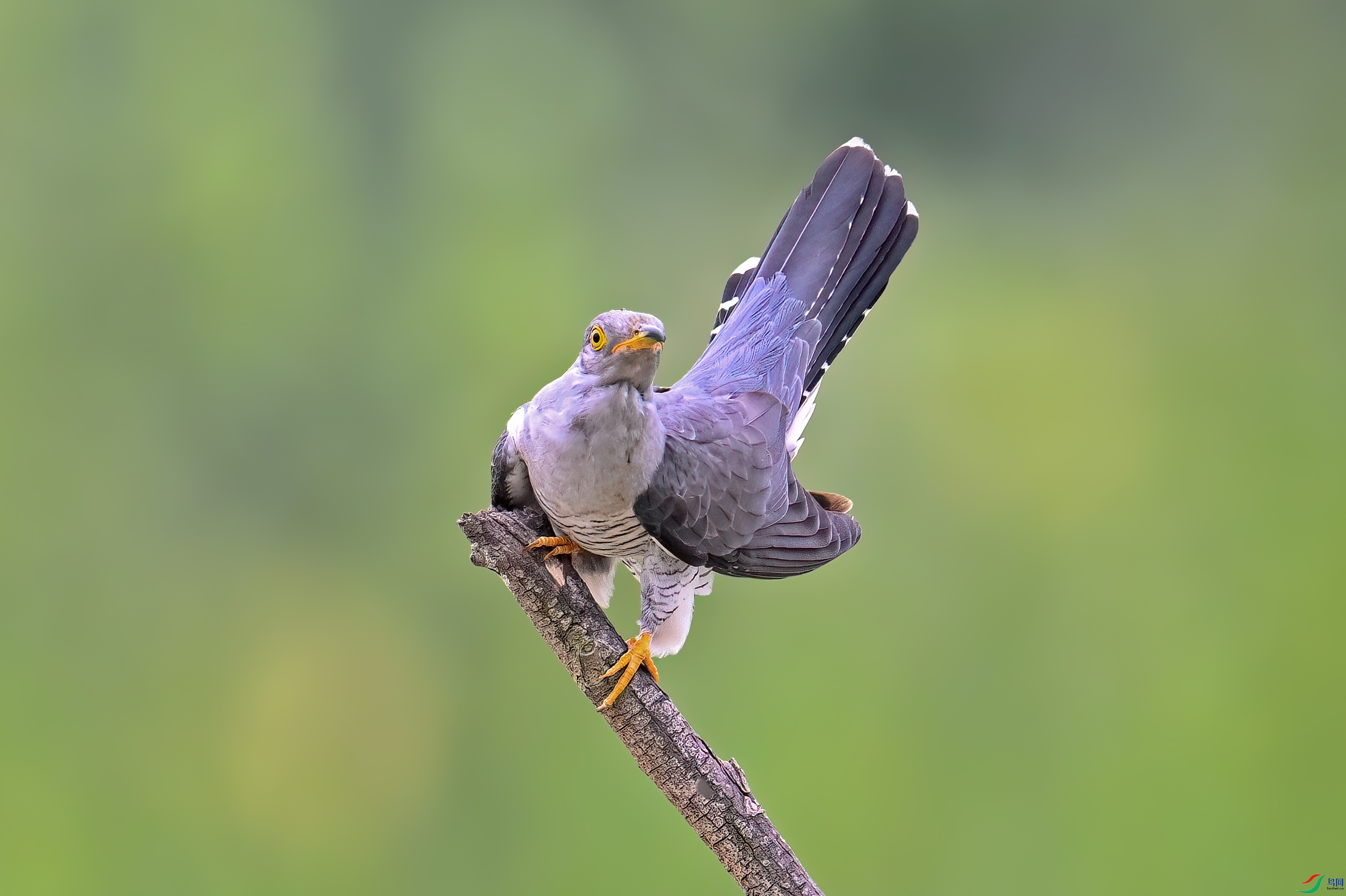 DSC_0788.JPG
