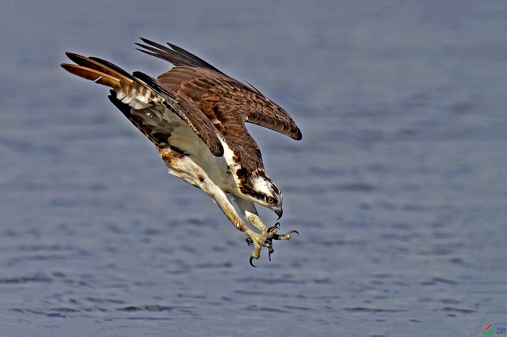 _DSD3538--...jpg