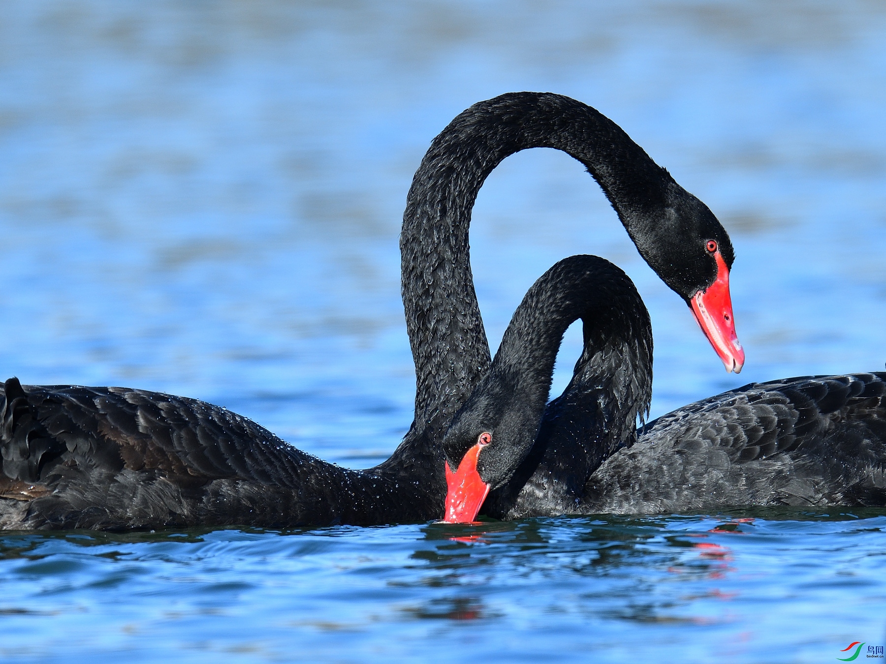 DSC_5733.JPG