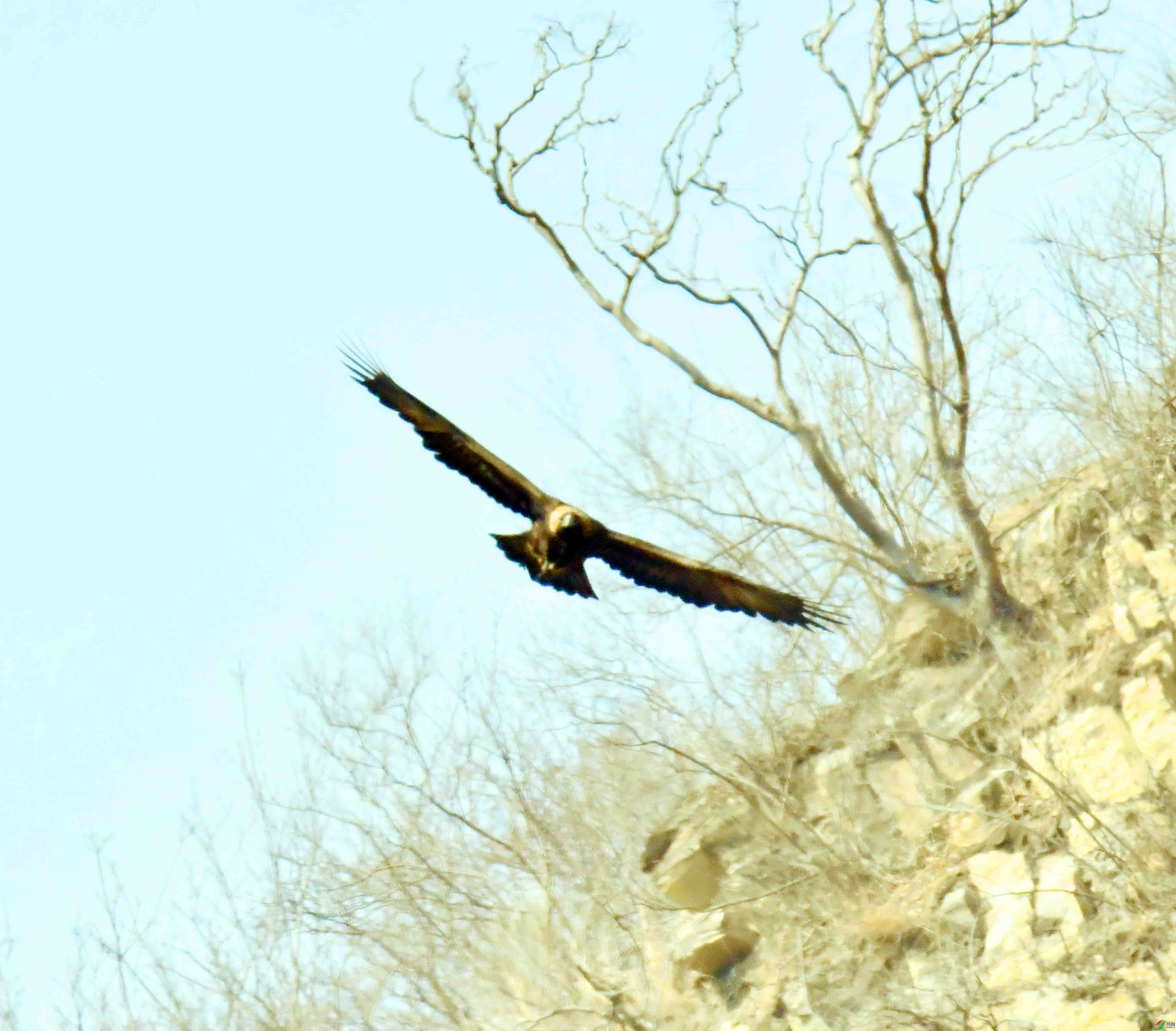DSC_8550.JPG