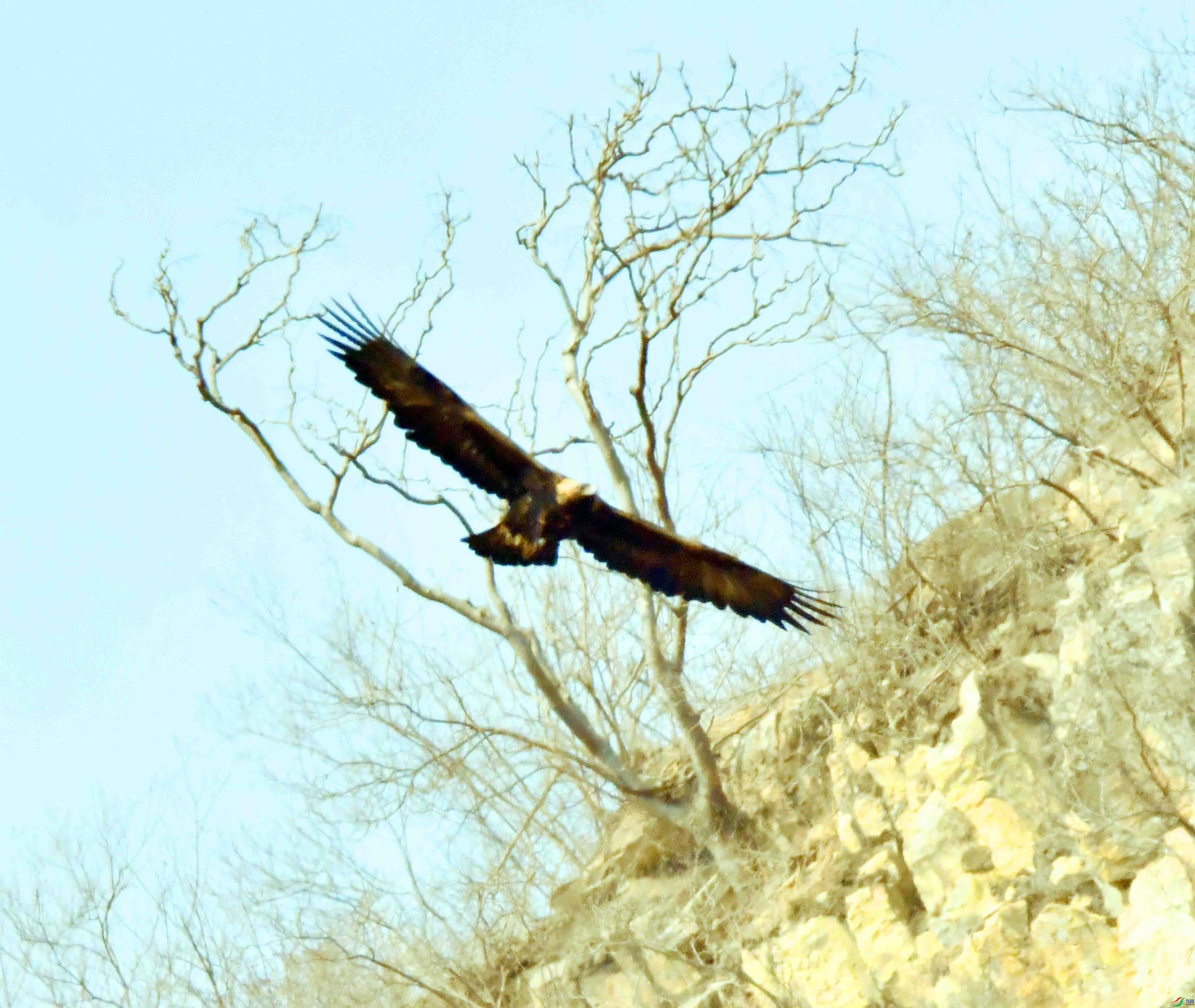 DSC_8551.JPG