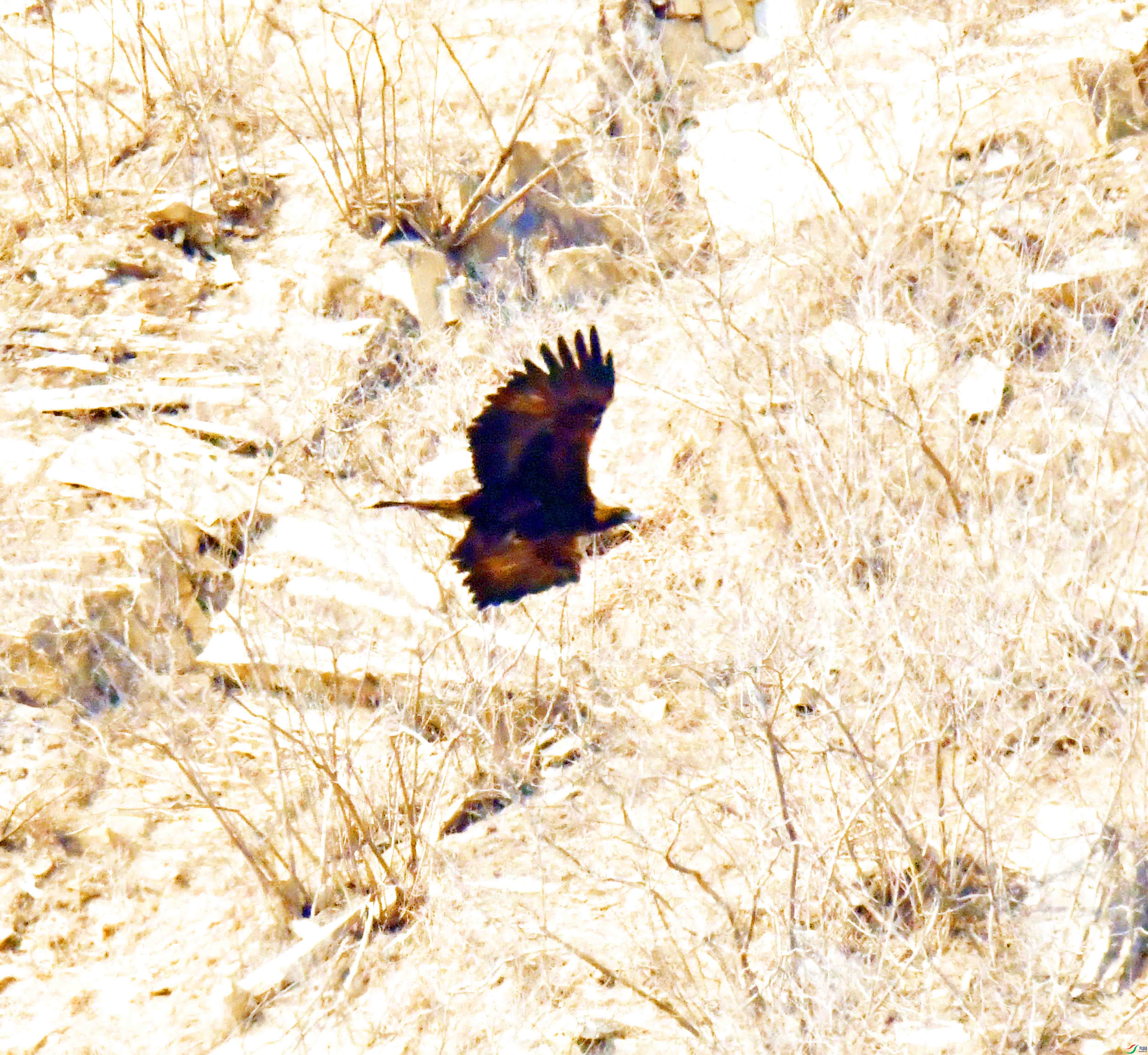 DSC_8569.JPG