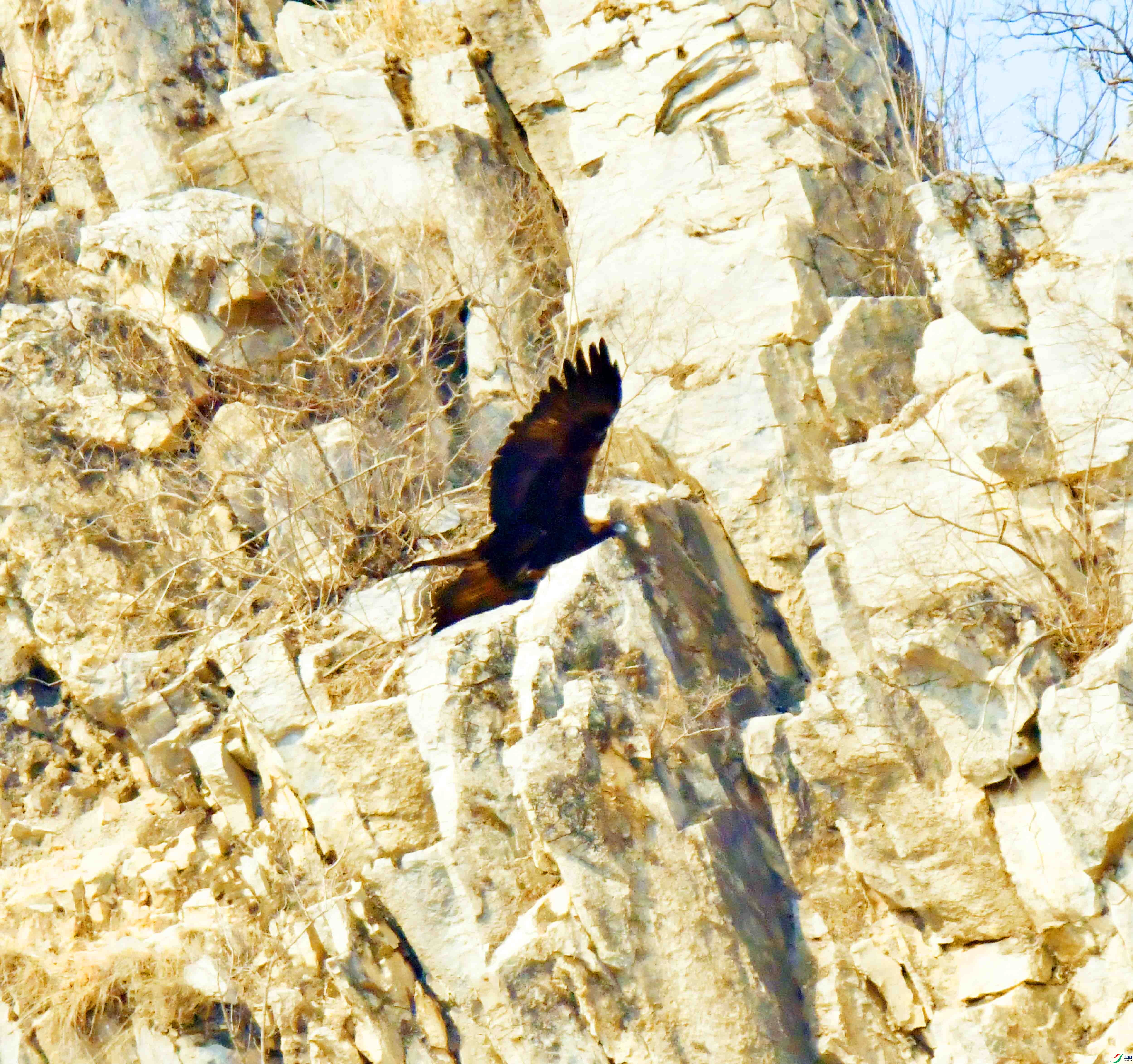 DSC_8570.JPG