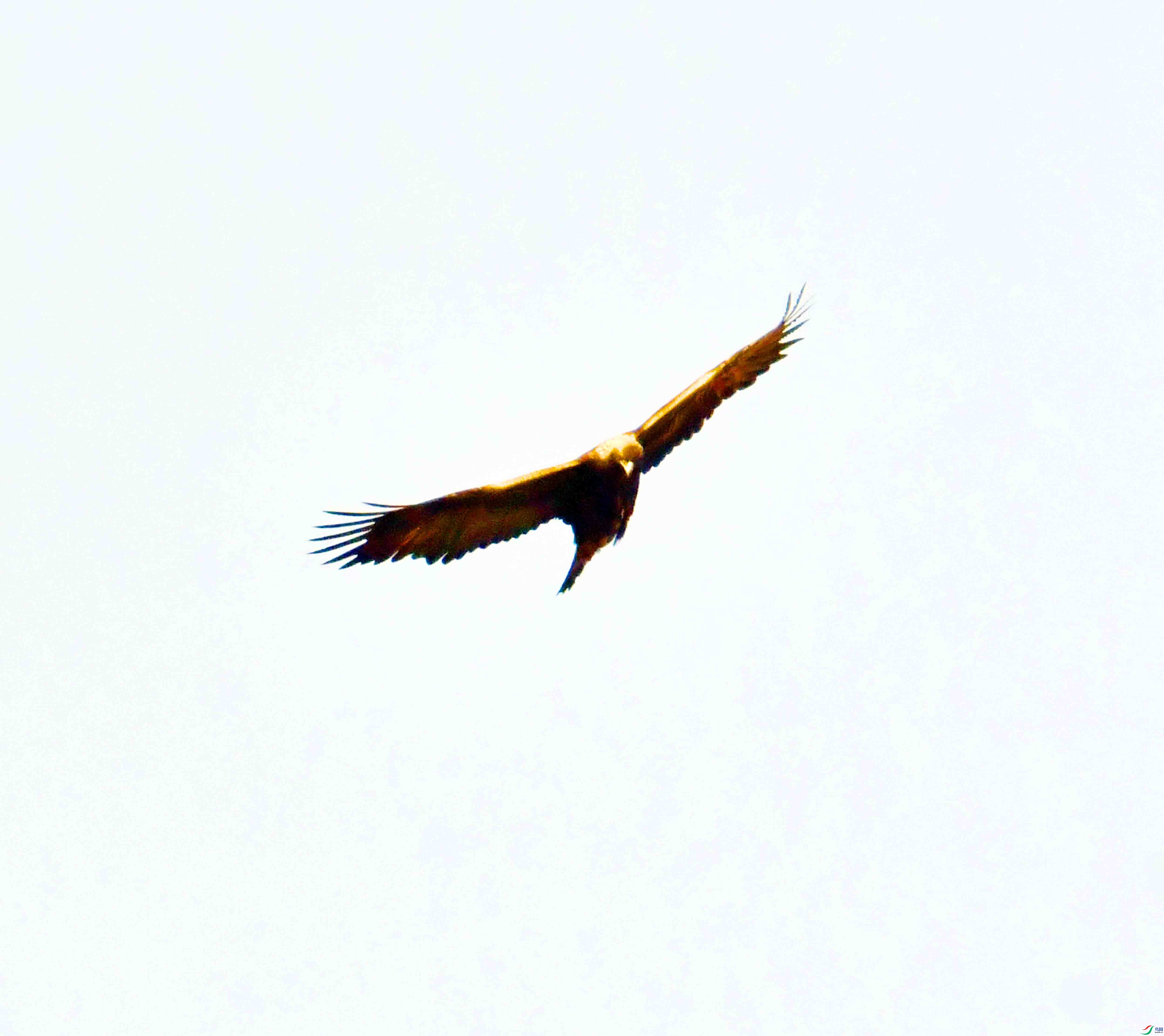 DSC_8582.JPG