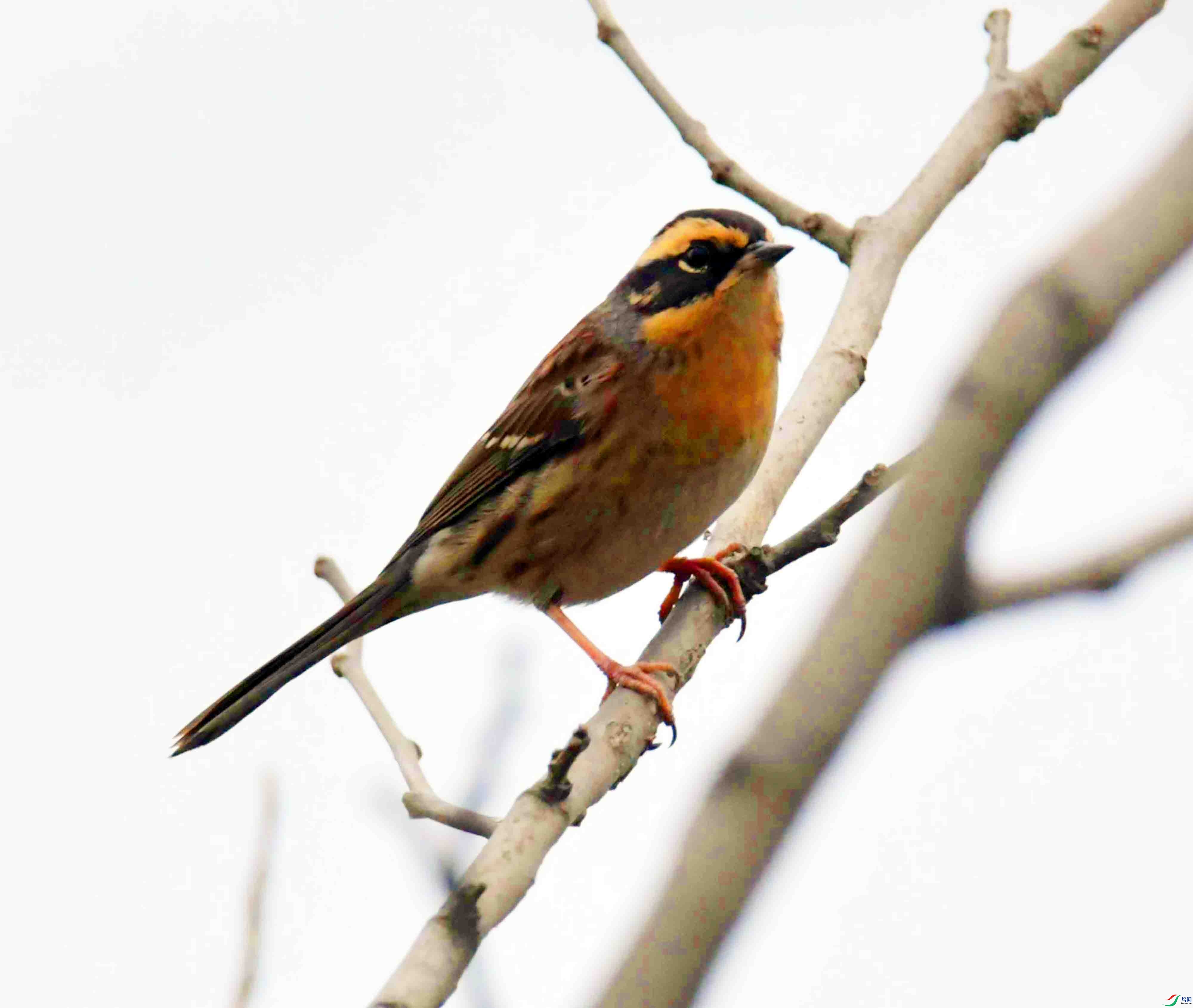 DSC_4476.JPG