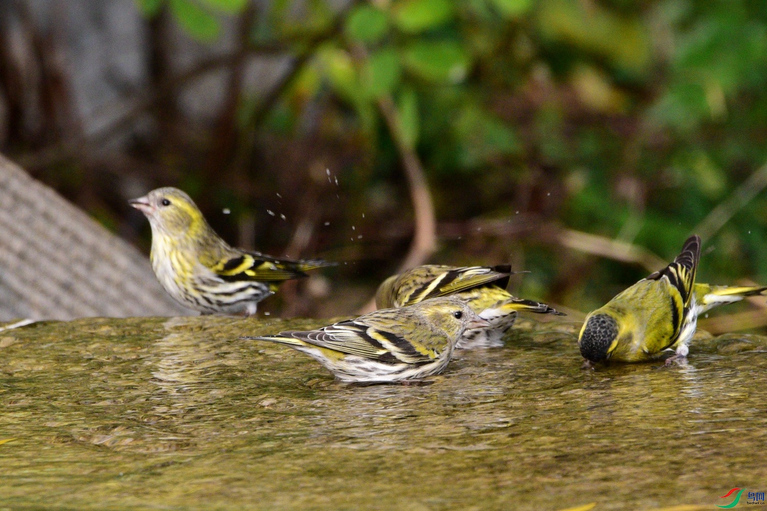 DSC_6228.JPG