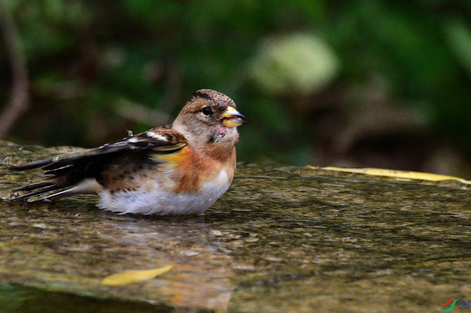DSC_7138.JPG