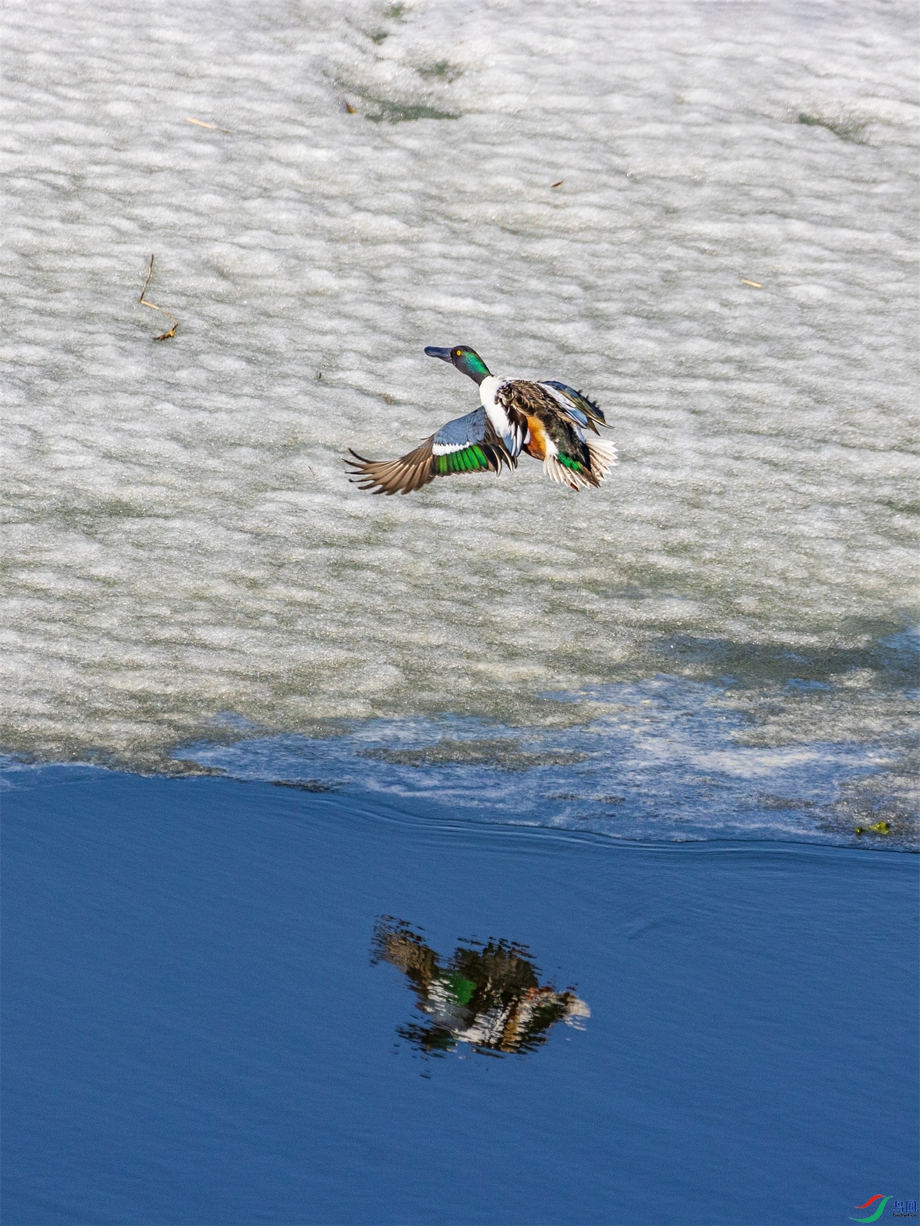 1K3A8089 ����1.jpg