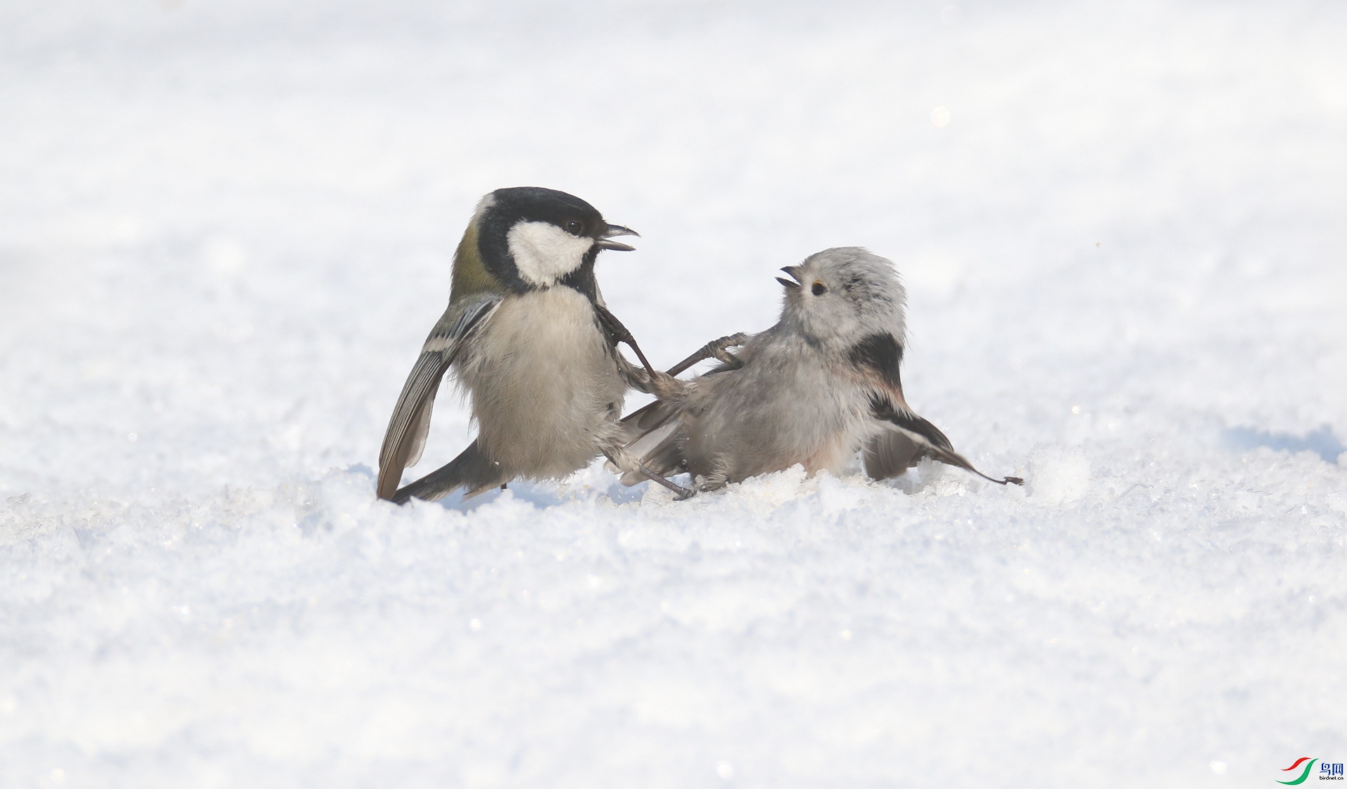 0G1A2798 ����.jpg