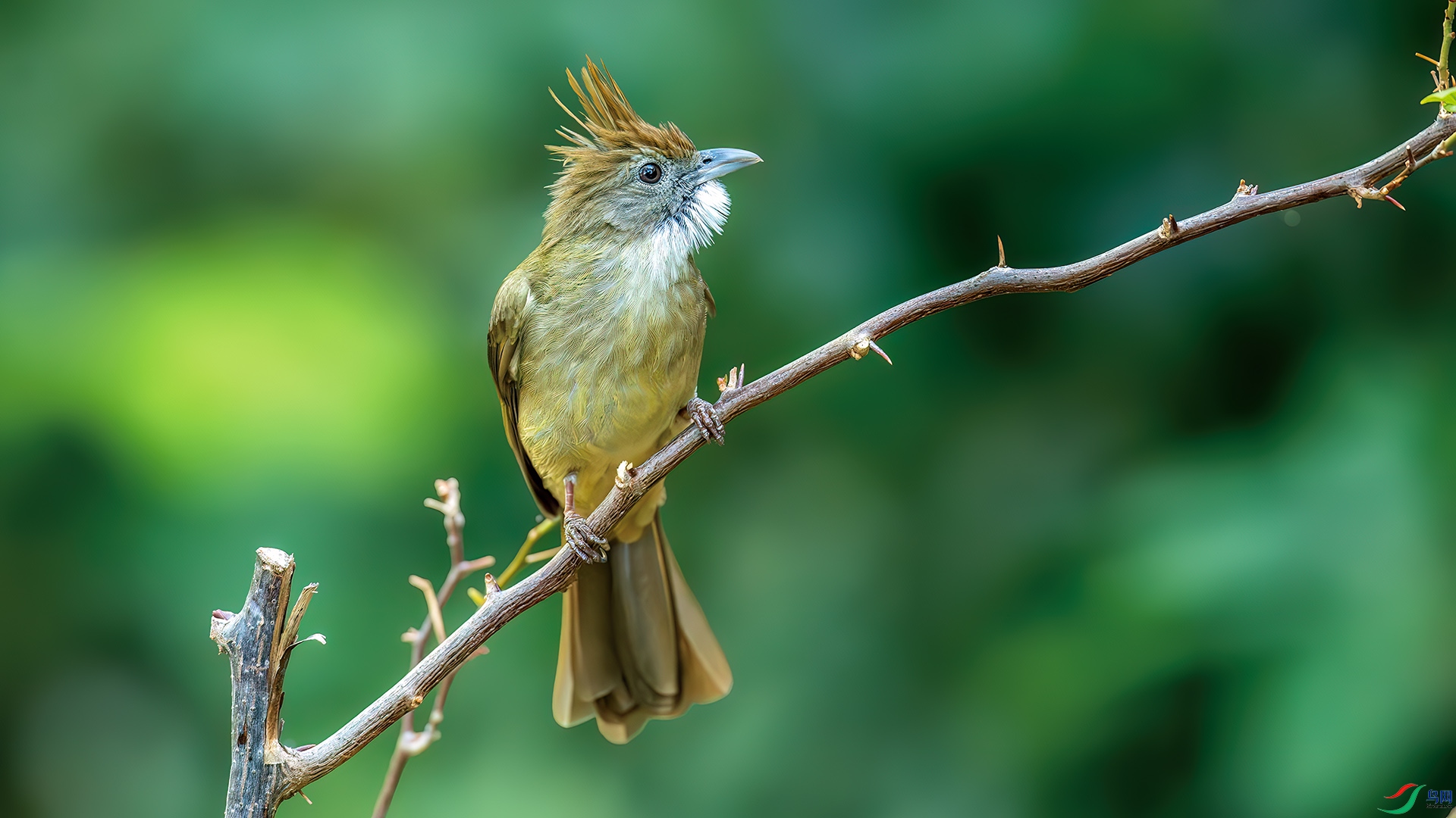 DSC_2893-����ǿ-NR.jpg