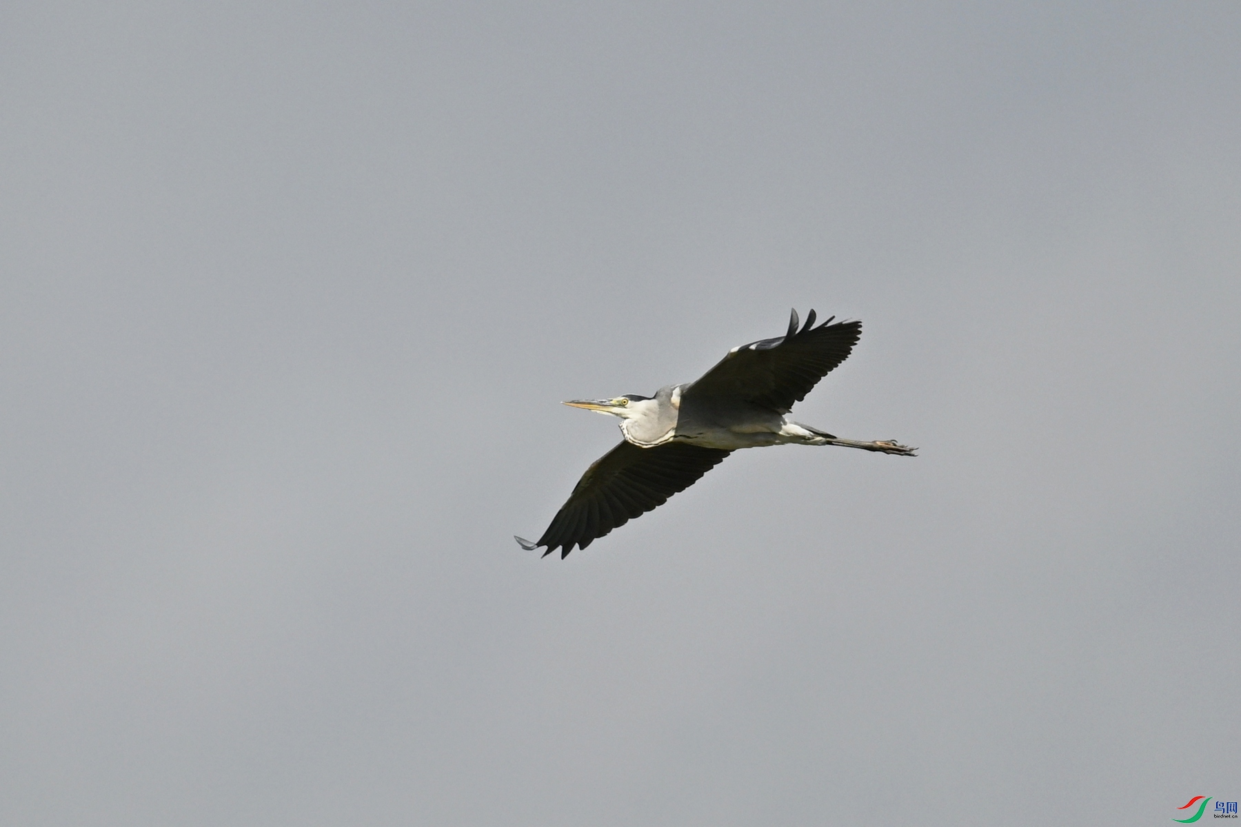 DSC_8038.JPG
