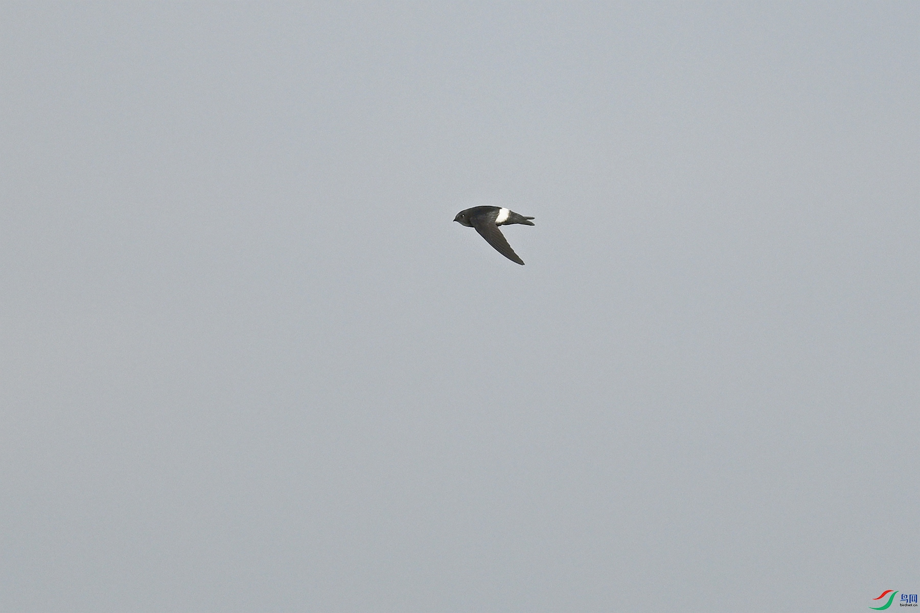 DSC_8033.JPG