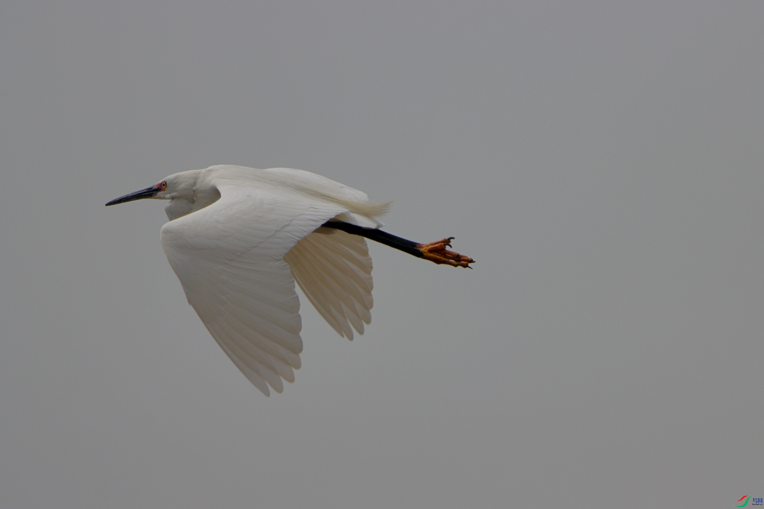 IMG_8364c1.jpg