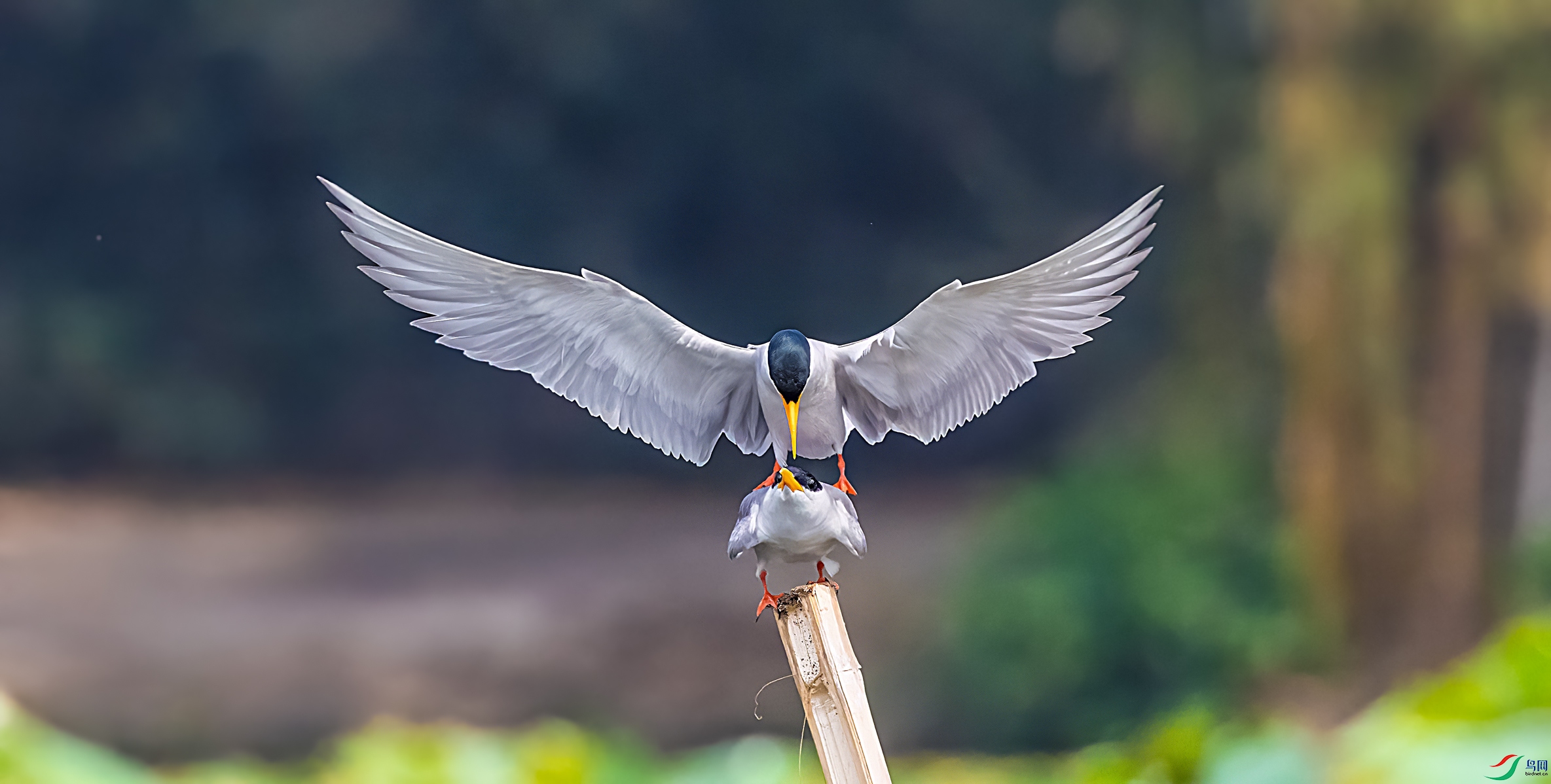 ����ʱ��