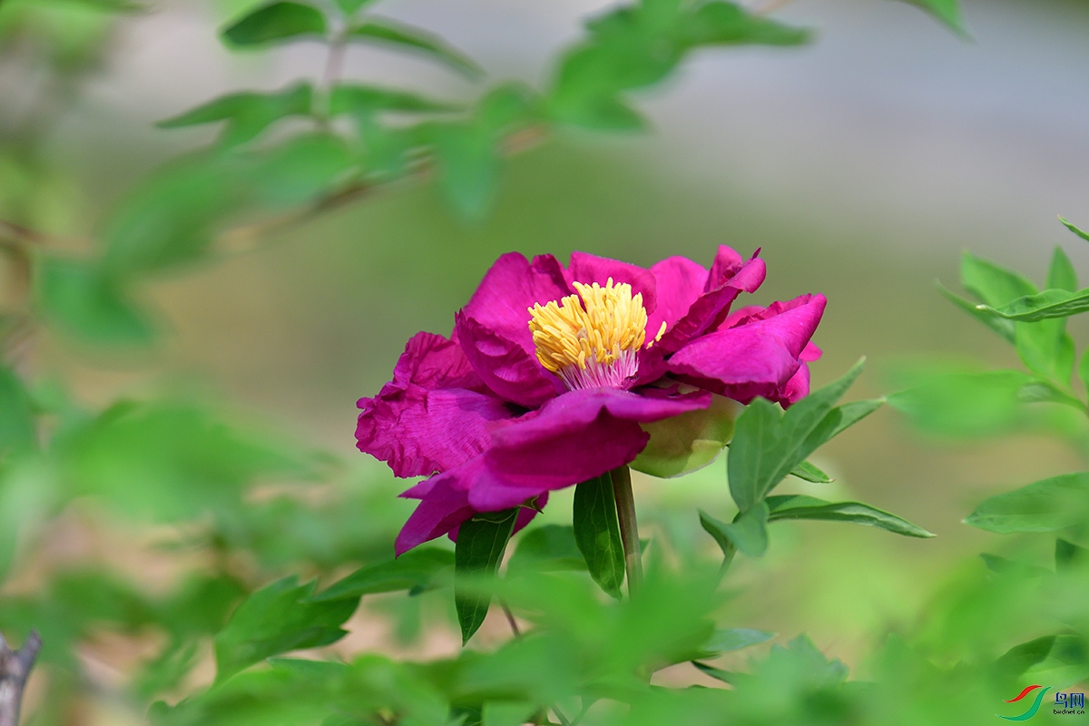 D5S_2543_9745a.jpg
